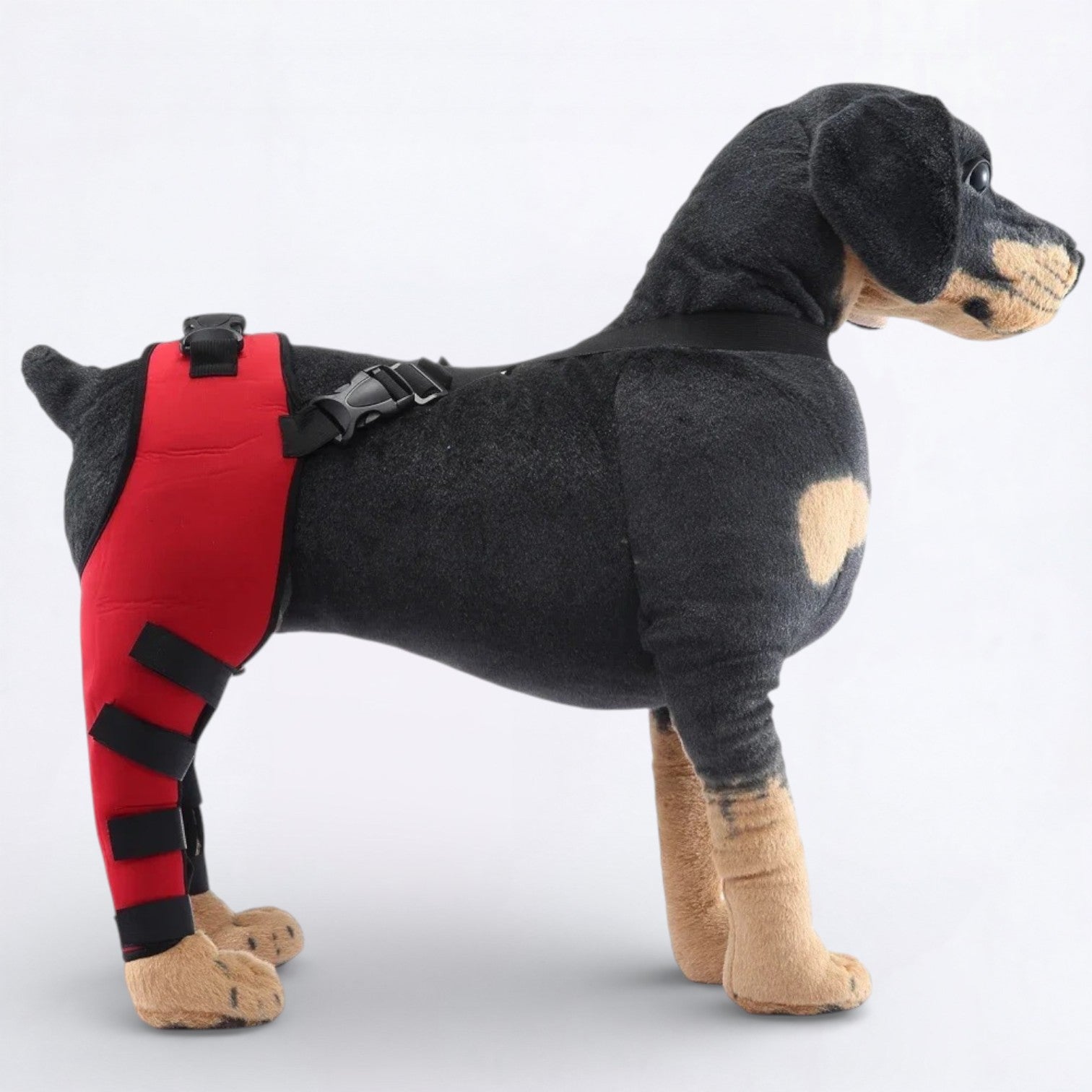 Dog-Back-Leg Support-Brace-Knee-Pads.jpg