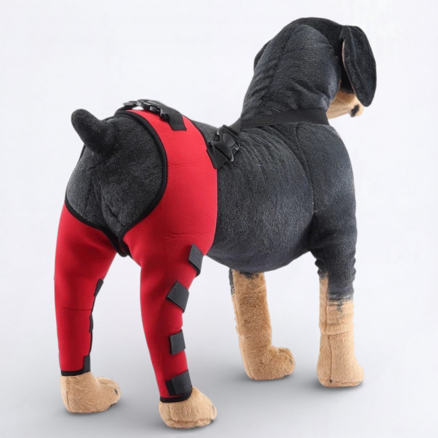 Dog-Back-Leg Support-Brace-Knee-Pads.jpg