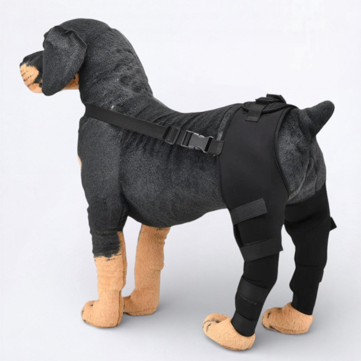 Dog-Back-Leg Support-Brace-Knee-Pads.jpg