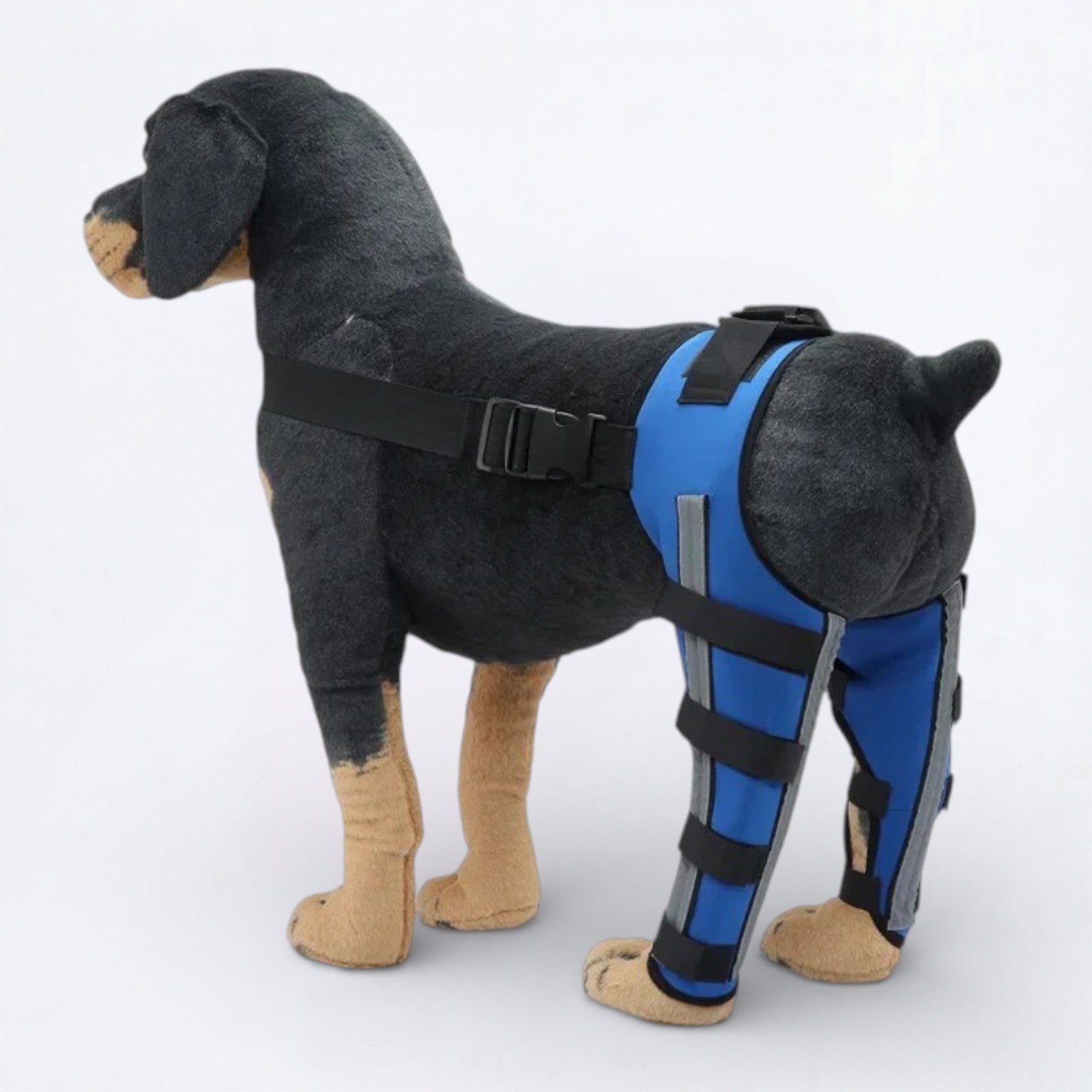 Dog-Back-Leg Support-Brace-Knee-Pads.jpg
