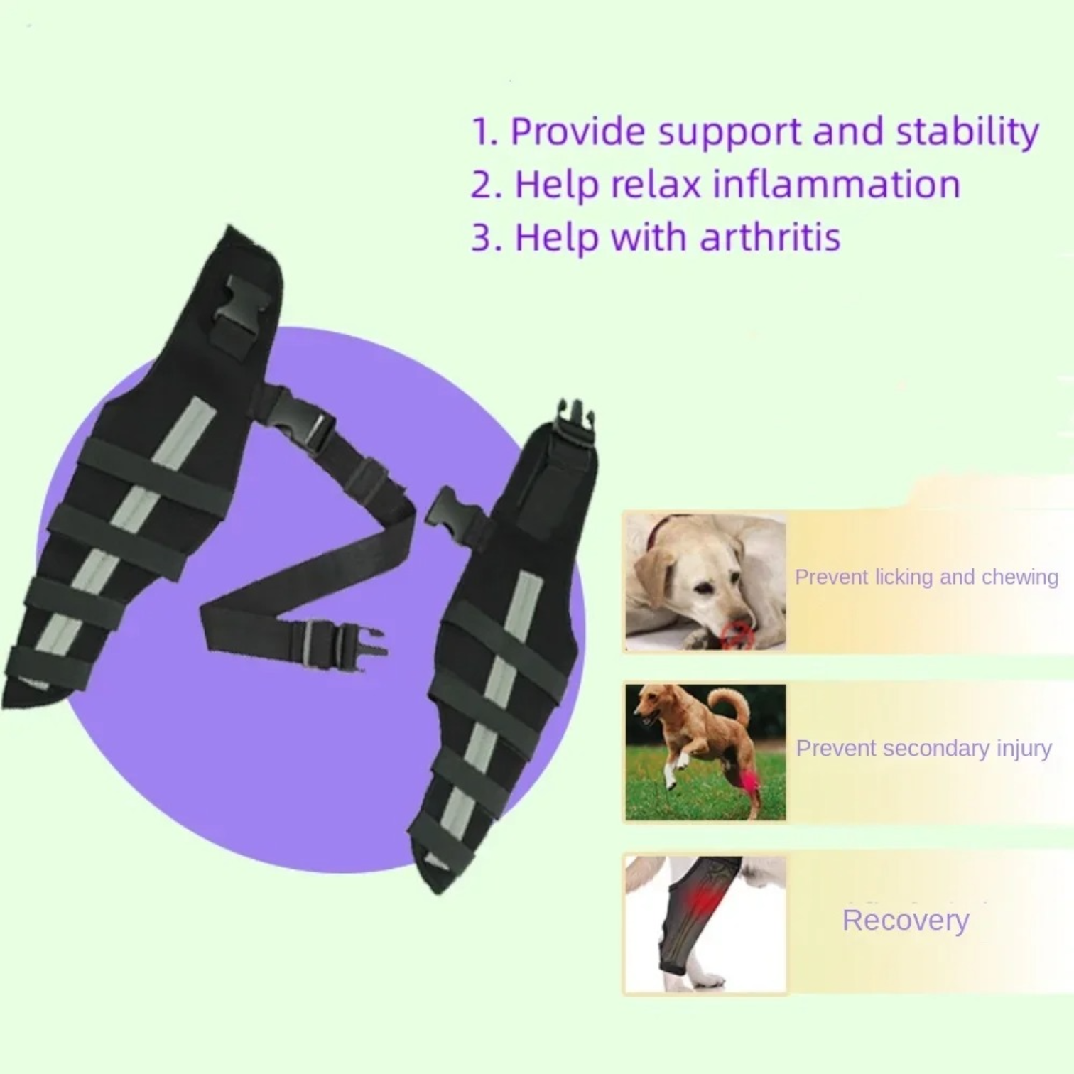 Dog-Back-Leg Support-Brace-Knee-Pads.jpg