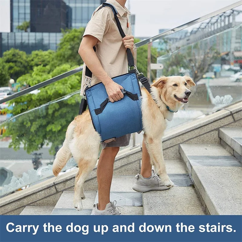 Dog-Belly-Lift-Sling.jpg