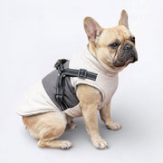 Dog-Down-Jacket.jpg