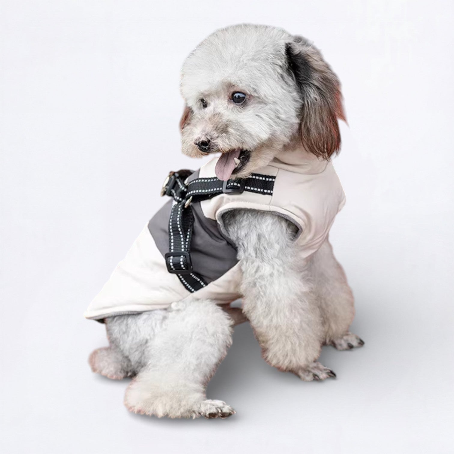 Dog-Down-Jacket.jpg