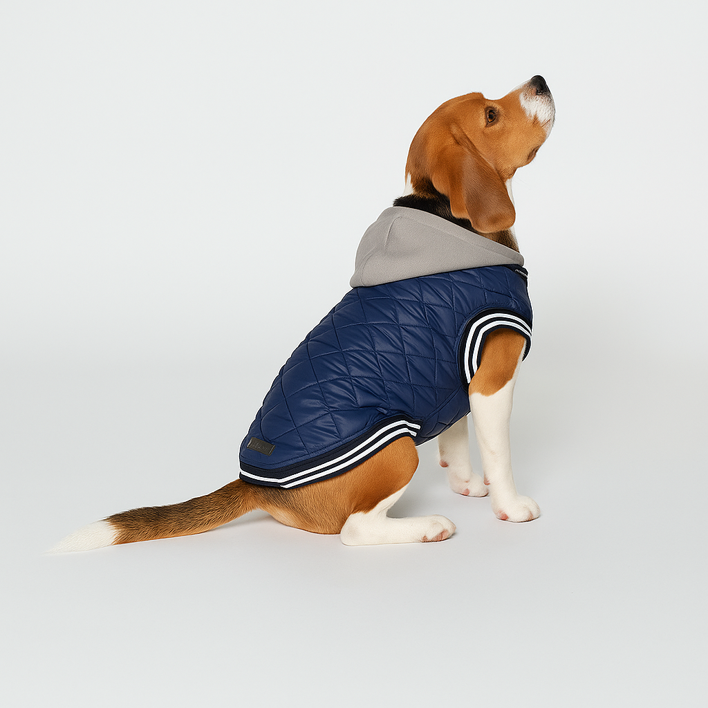 Dog Hooded Jacket