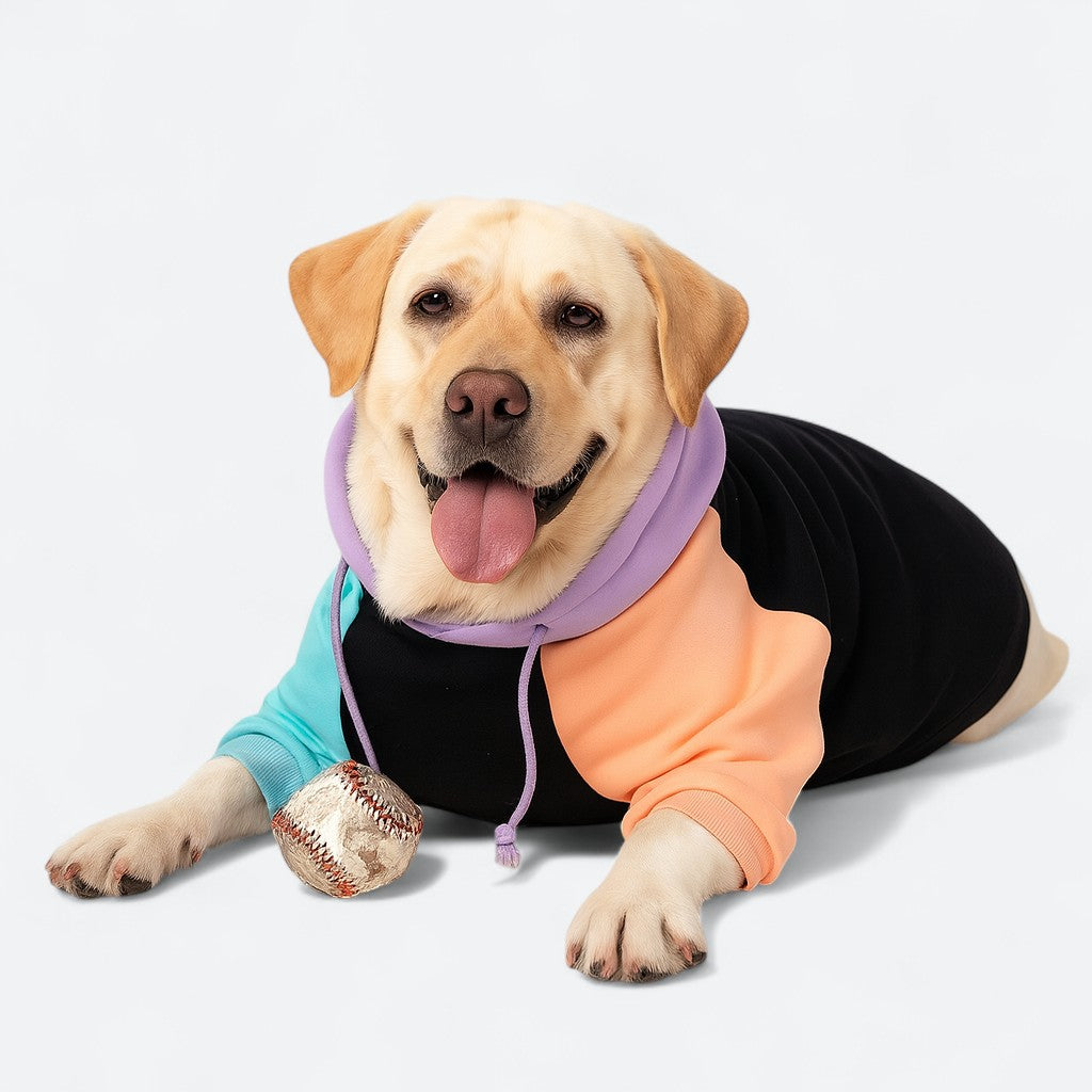 Dog-Human-Matching-Hoodie.jpg
