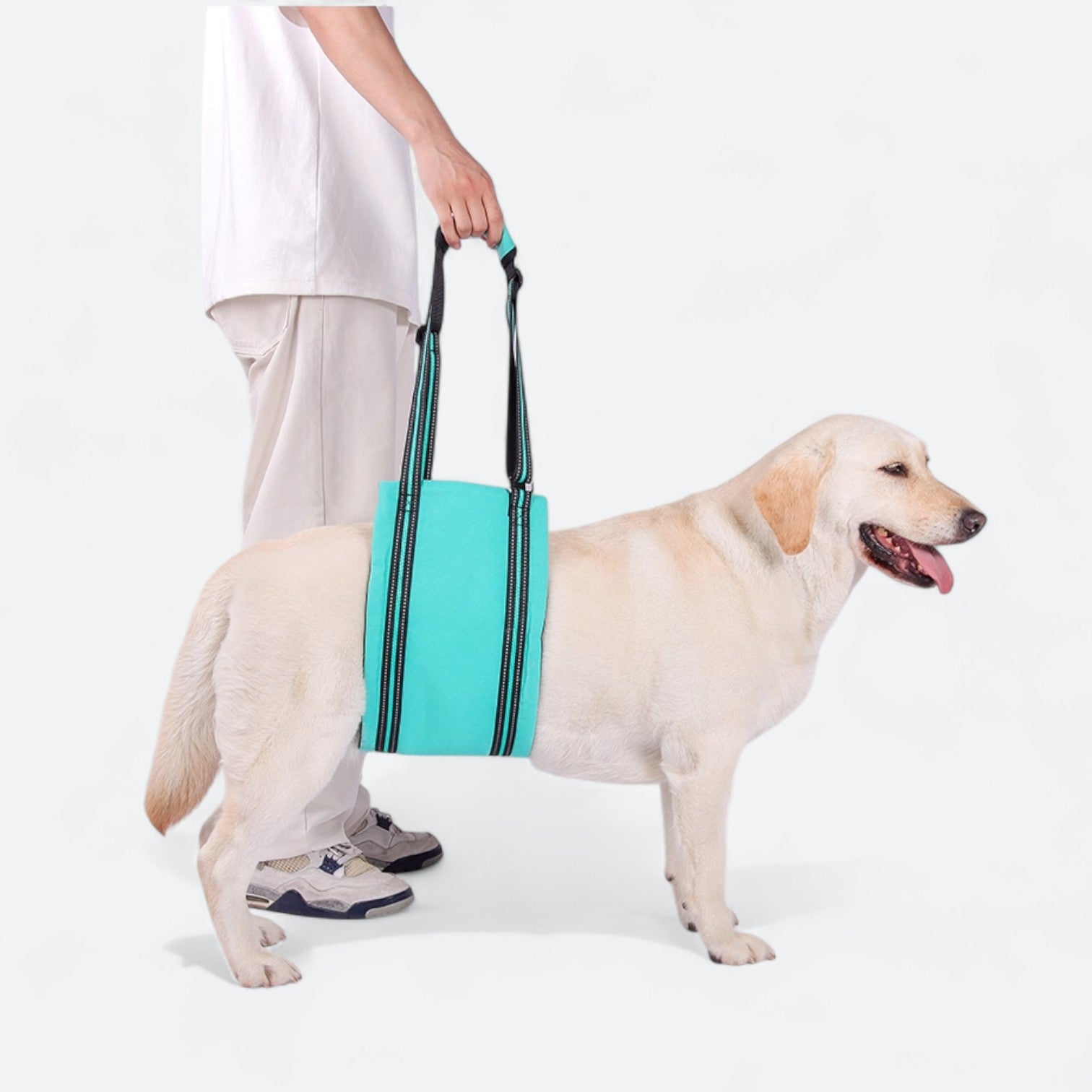 Dog-Lift-Rehab-Chest-Harness.jpg