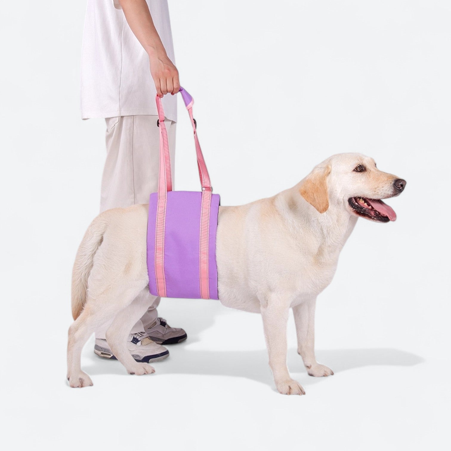 Dog-Lift-Rehab-Chest-Harness.jpg