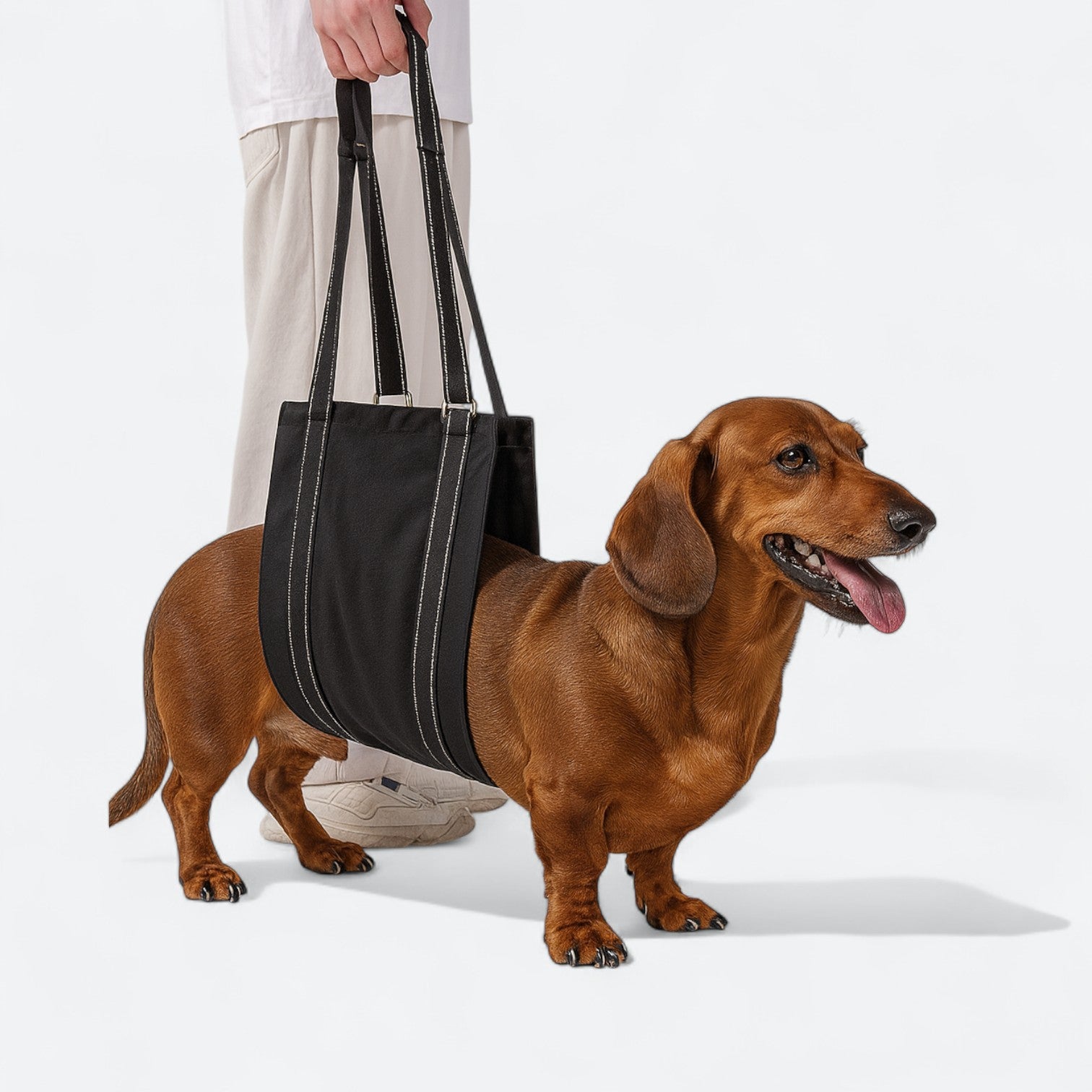 Dog-Lift-Rehab-Chest-Harness.jpg