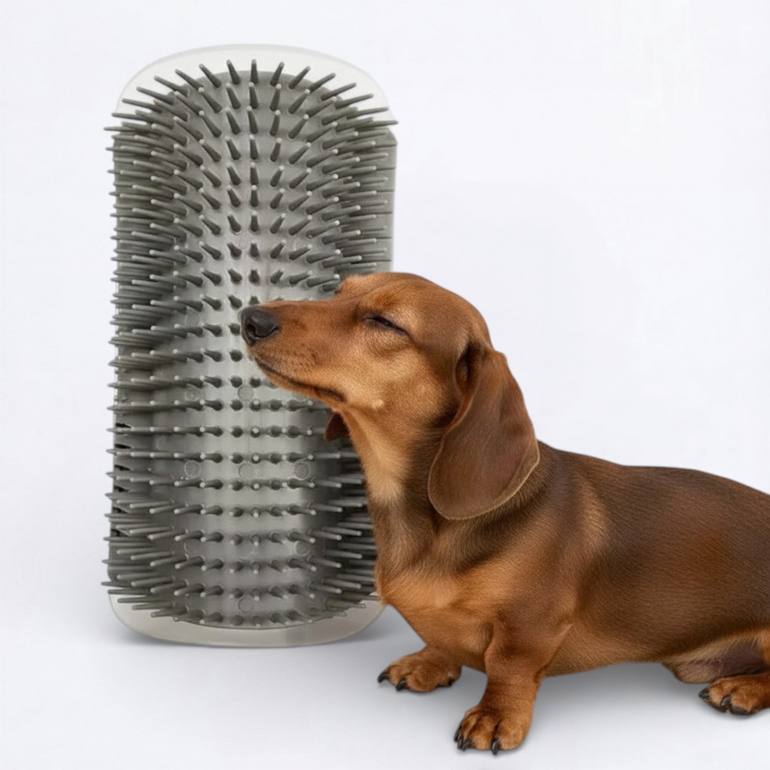 Dog-Massage-Hair-Removal-Brush.jpg