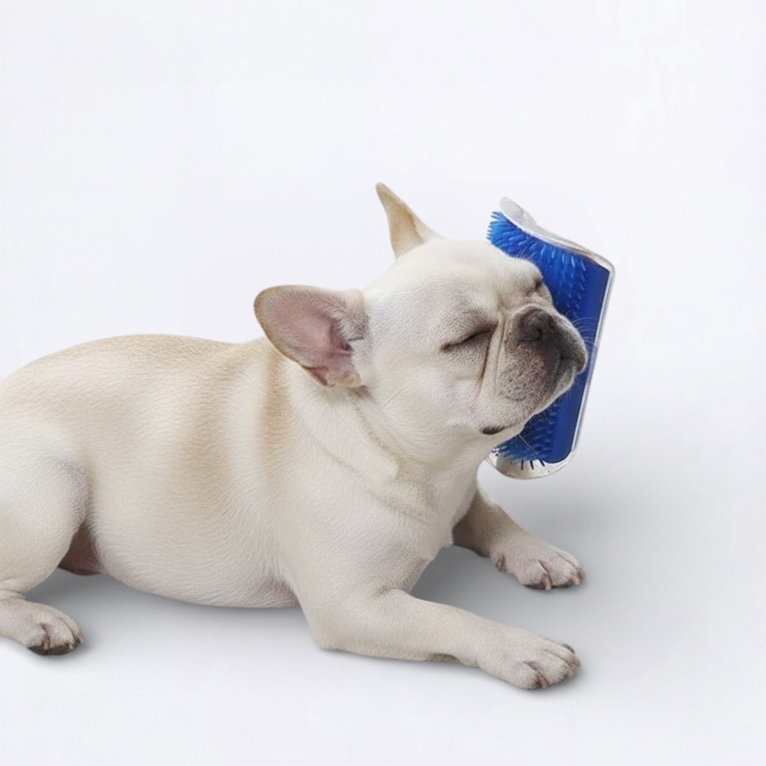 Dog-Massage-Hair-Removal-Brush.jpg