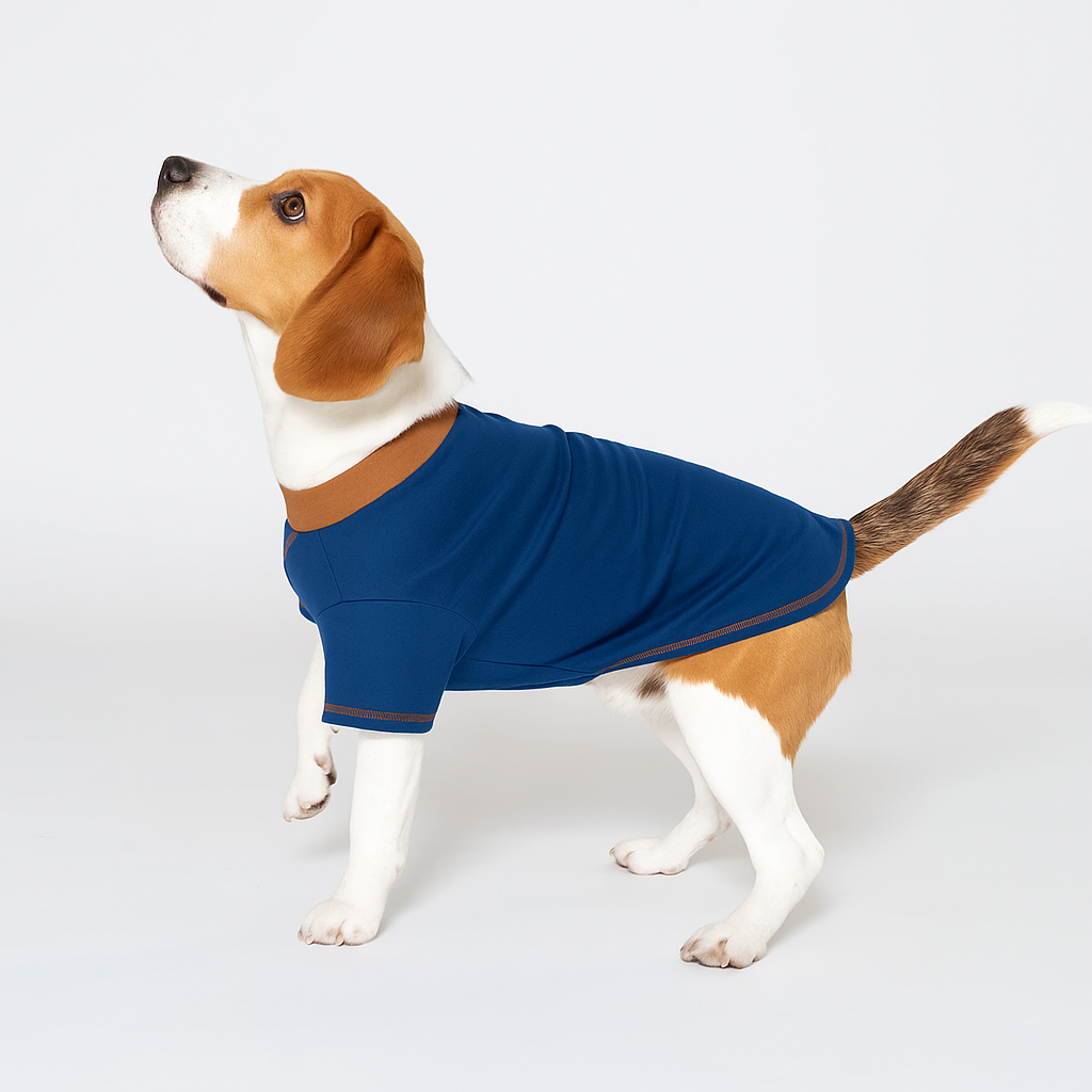 Dog Summer Sweatshirt