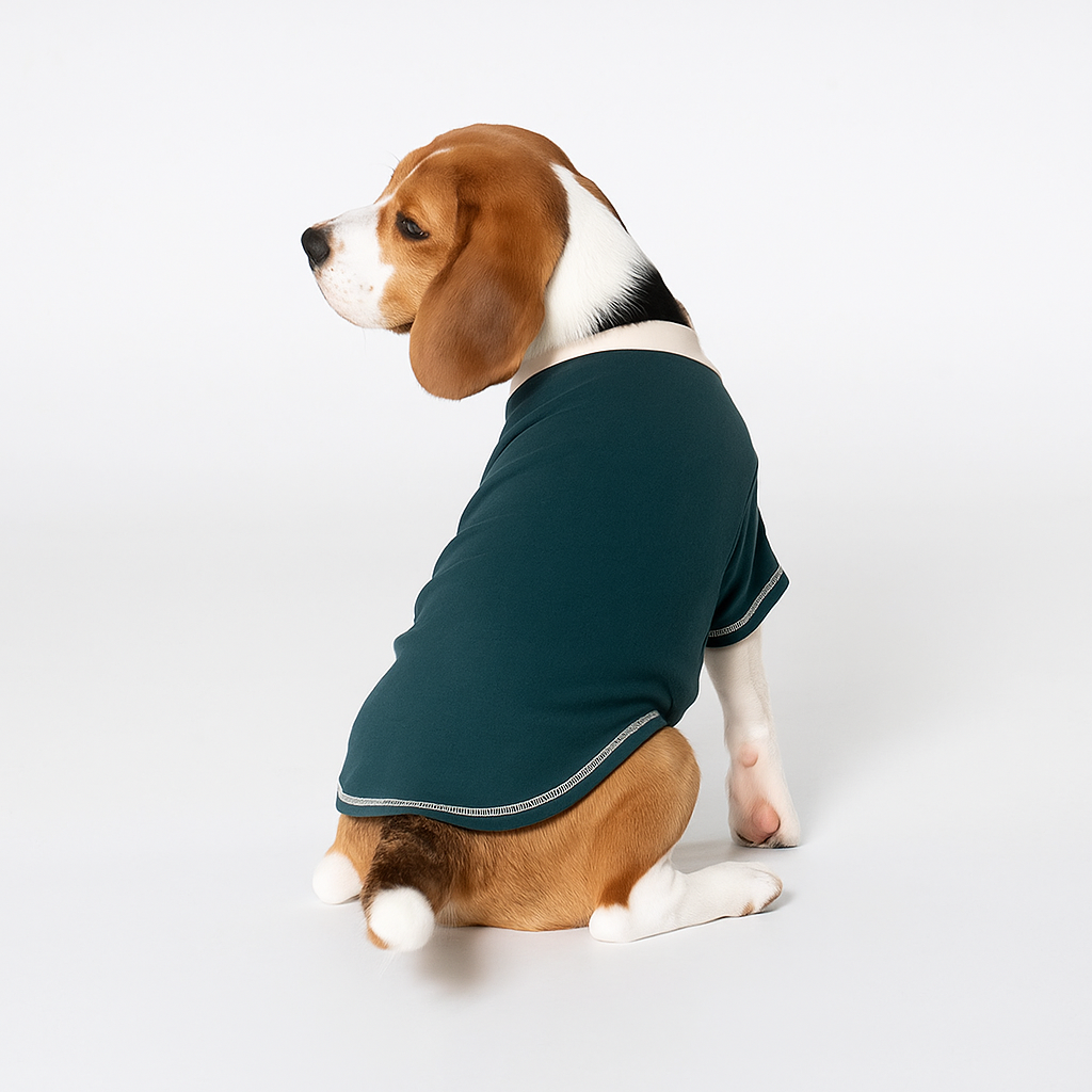 Dog Summer Sweatshirt for small breeds