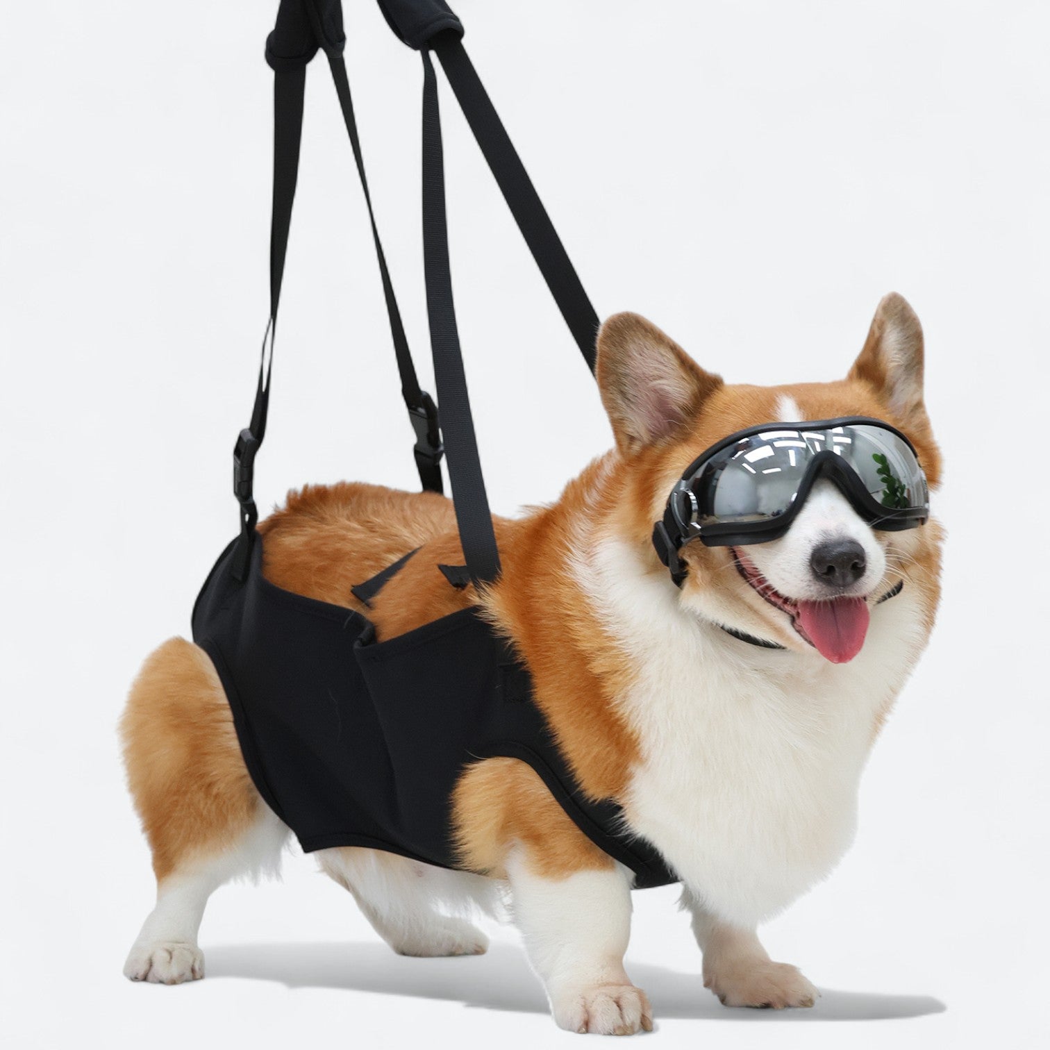 Dog-Support-Sling-Lift-Harness.jpg
