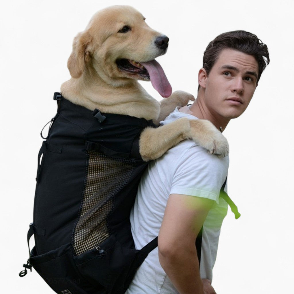 Dog backpack carrier for large Labradors
