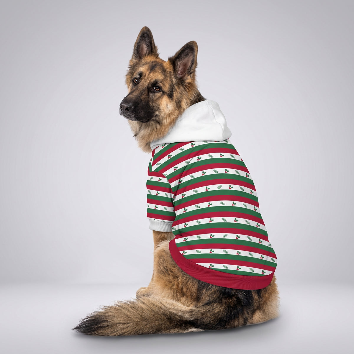 Holiday Holly Stripe Matching Dog Hoodie for Small and Big Dogs