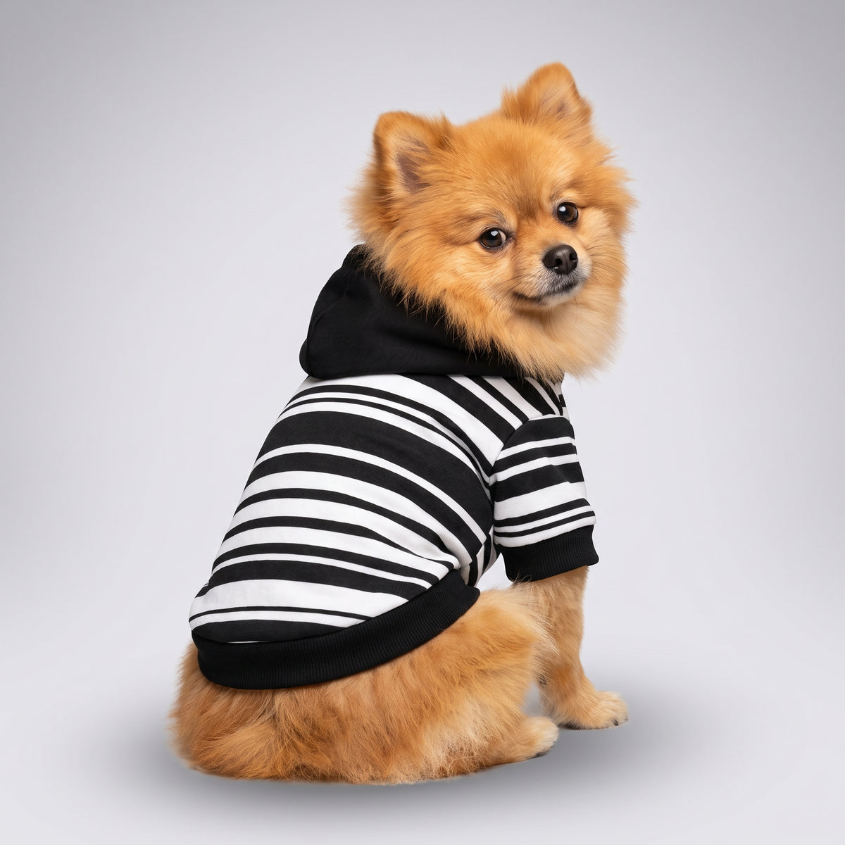 Classic Black and White Stripe Matching Dog Hoodie for Small and Big Dogs