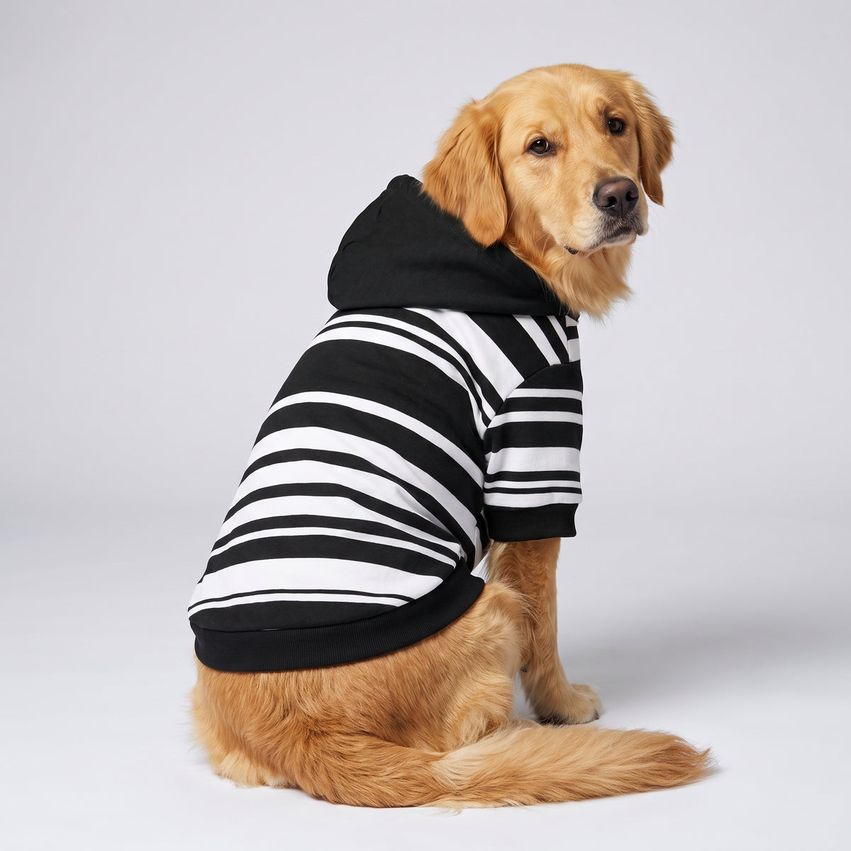 Classic Black and White Stripe Matching Dog Hoodie for Small and Big Dogs