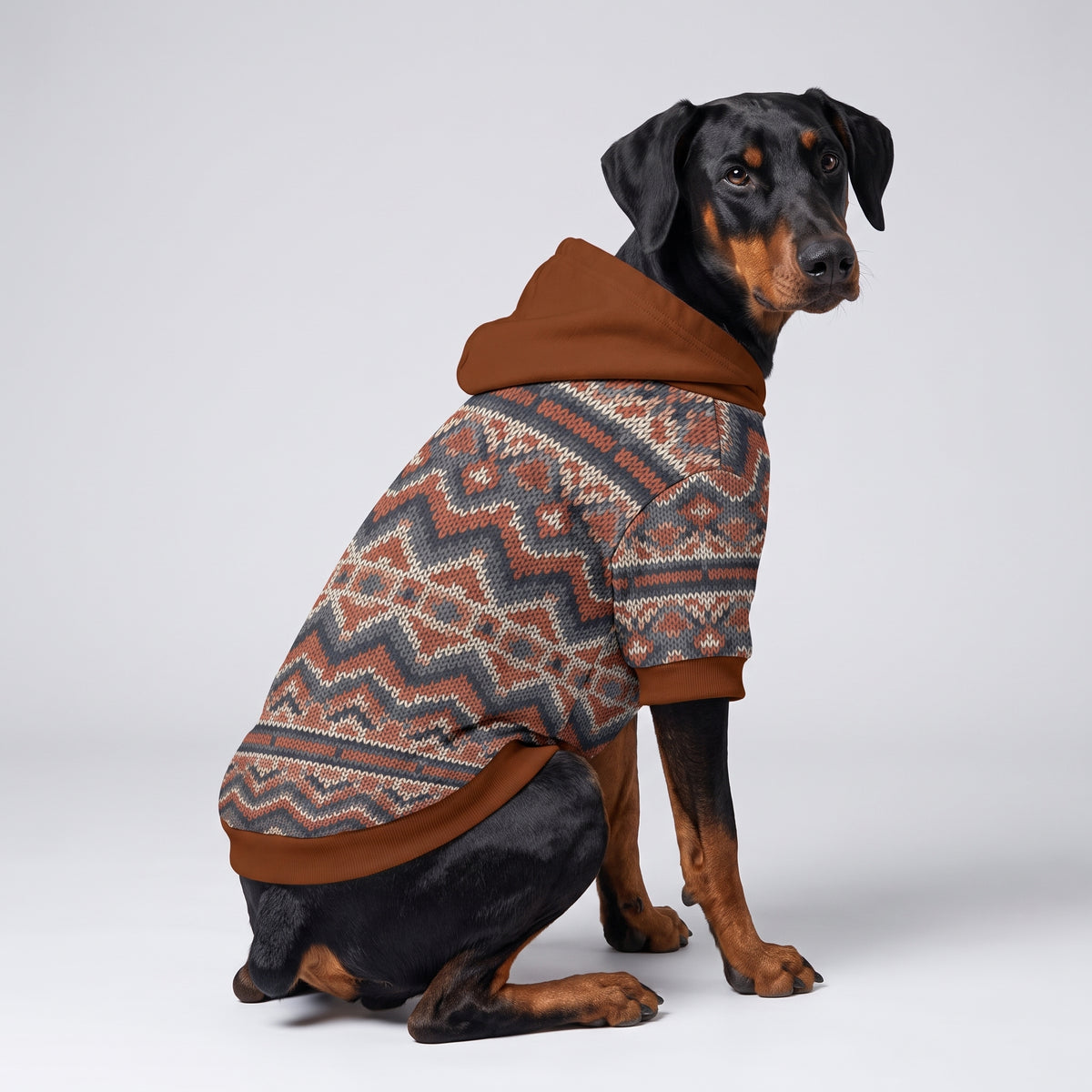 Rustic Nordic Knit Matching Dog Hoodie for Small and Big Dogs