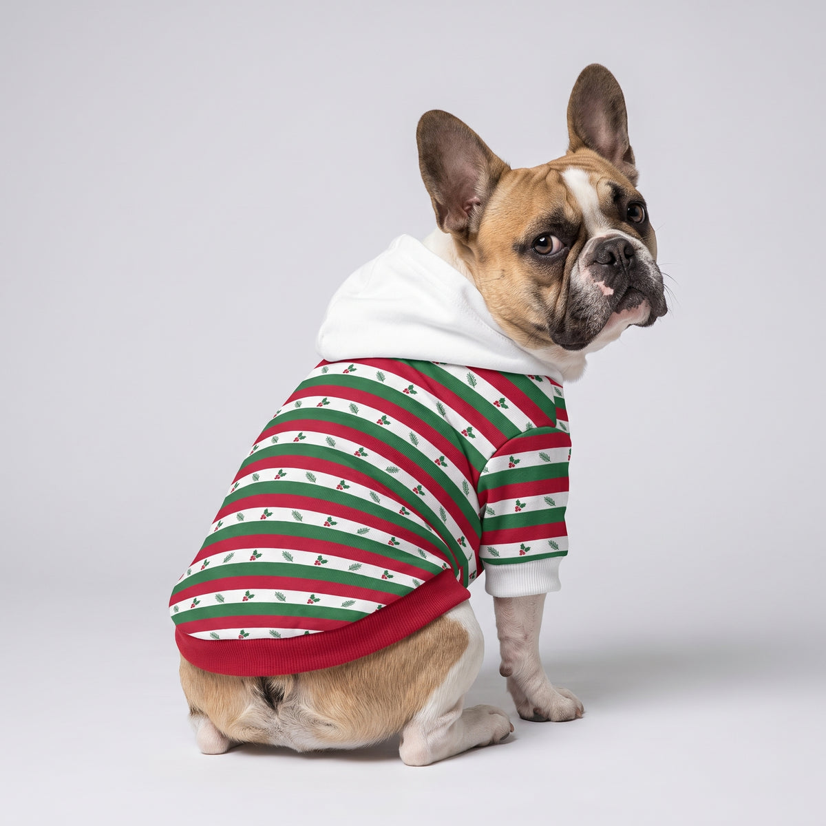 Holiday Holly Stripe Matching Dog Hoodie for Small and Big Dogs