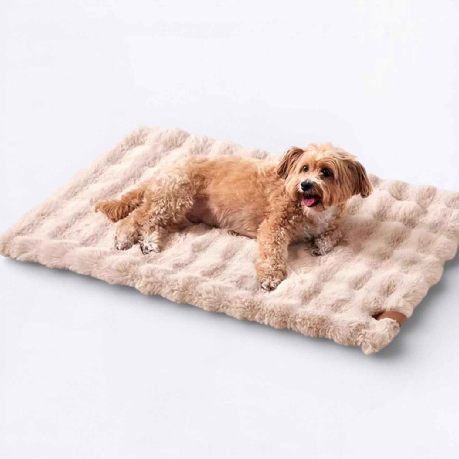 Double-Sided-Sleeping-Dog-Bed.jpg