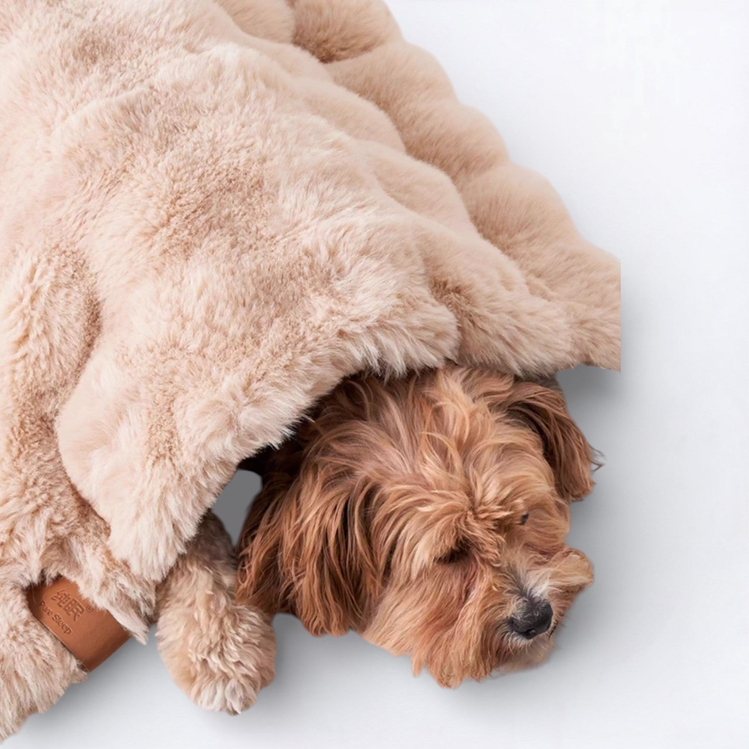 Double-Sided-Sleeping-Dog-Bed.jpg