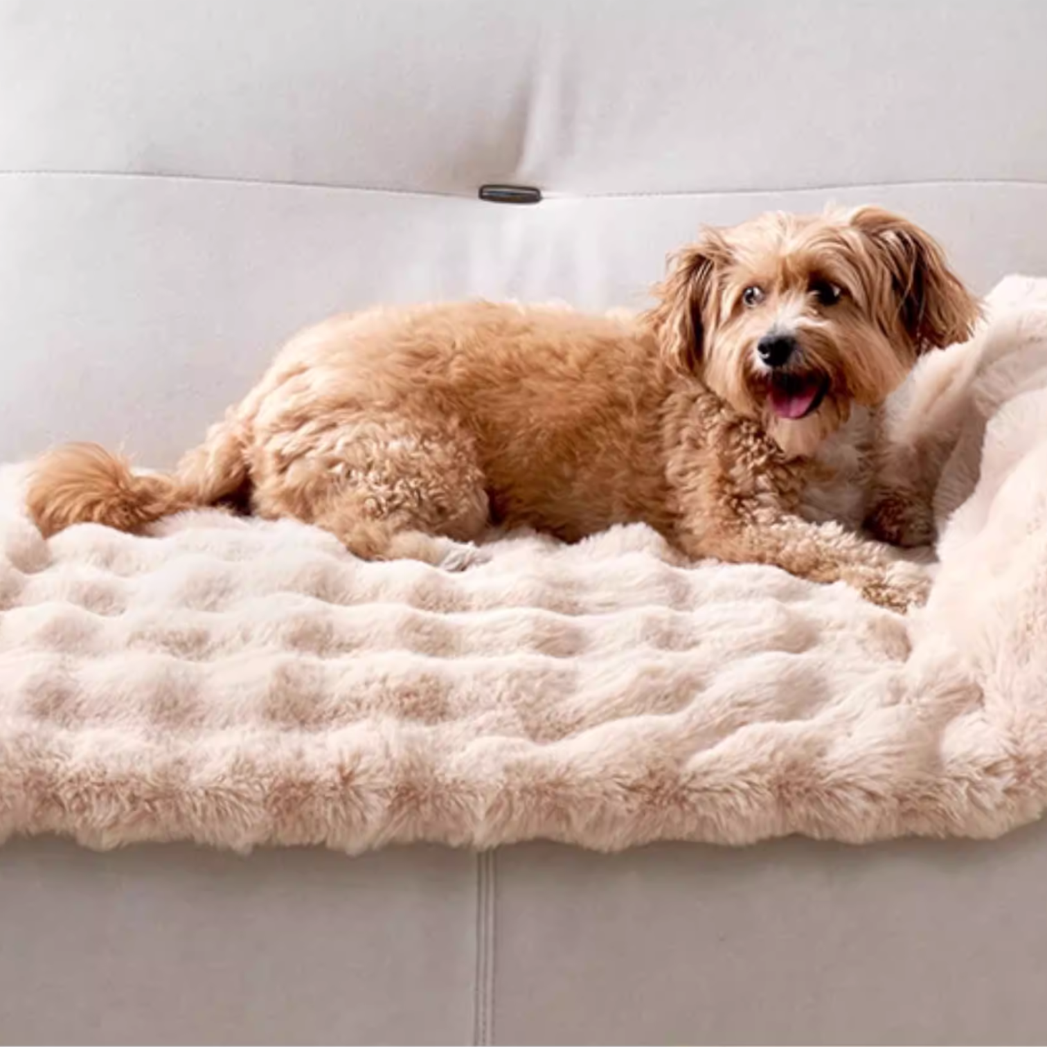 Double-Sided-Sleeping-Dog-Bed.jpg