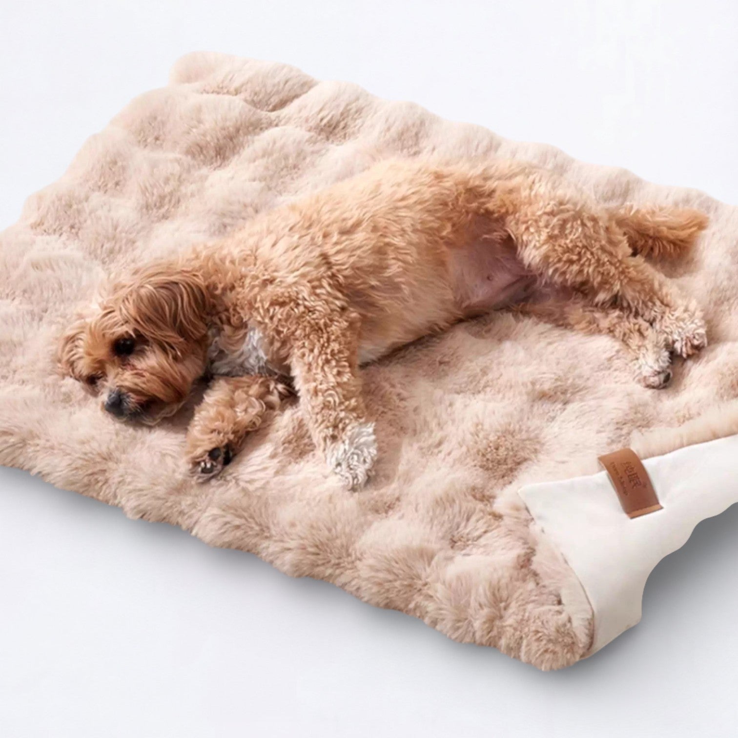 Double-Sided-Sleeping-Dog-Bed.jpg