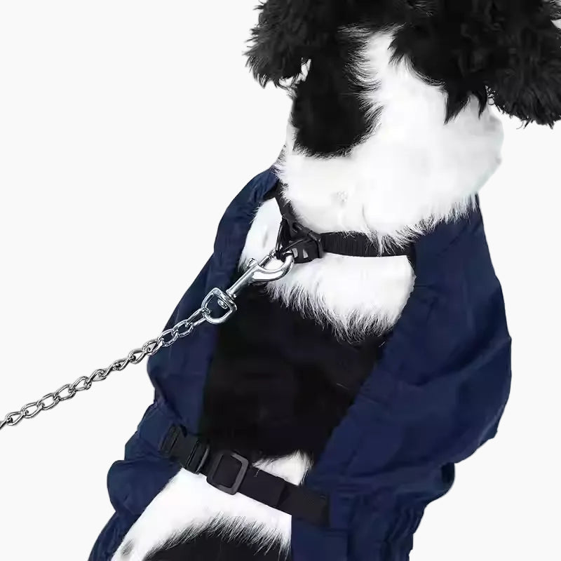 Elastic-Cuffs-Split-Dog-Raincoat.jpg