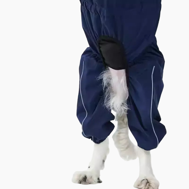 Elastic-Cuffs-Split-Dog-Raincoat.jpg