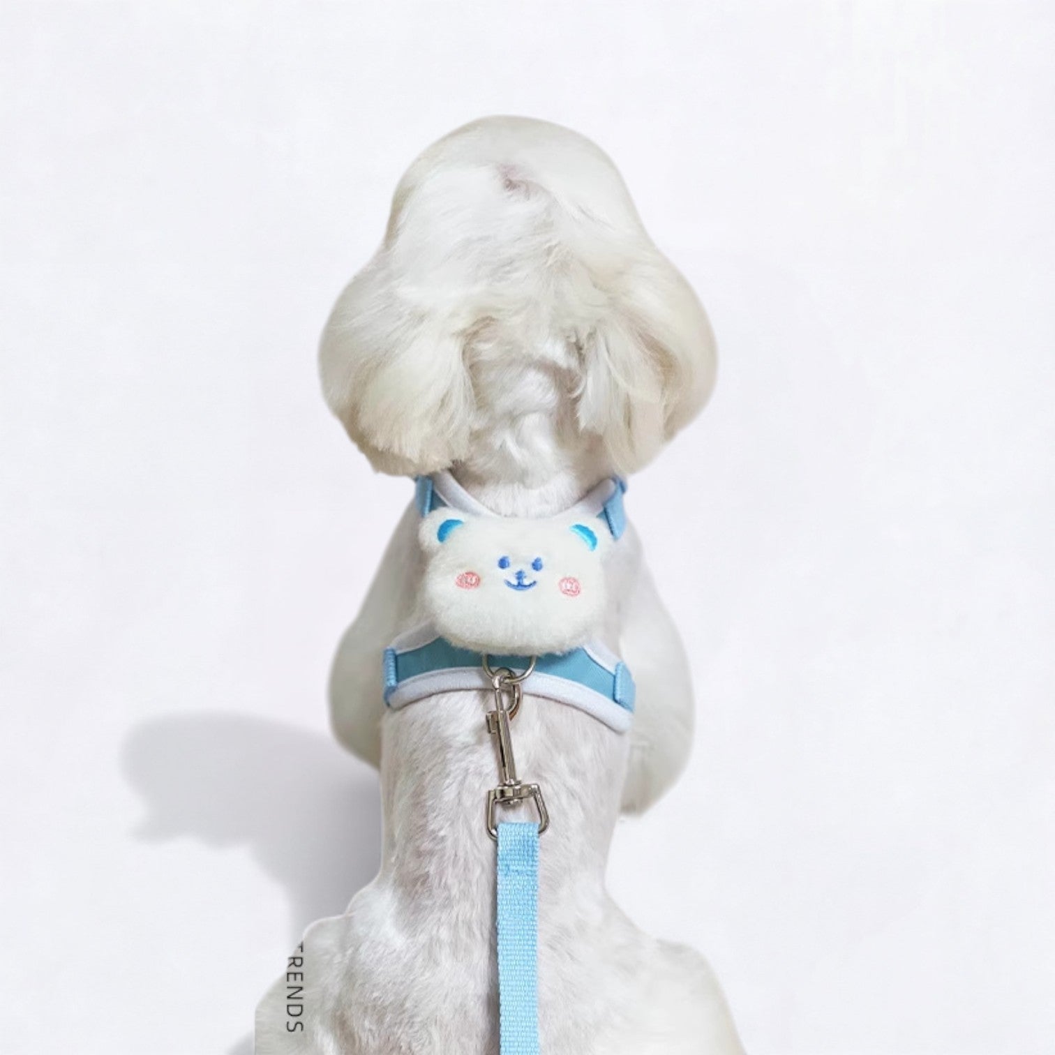 Elegant-Cartoon-Dog-Harness-Leash-Set.jpg