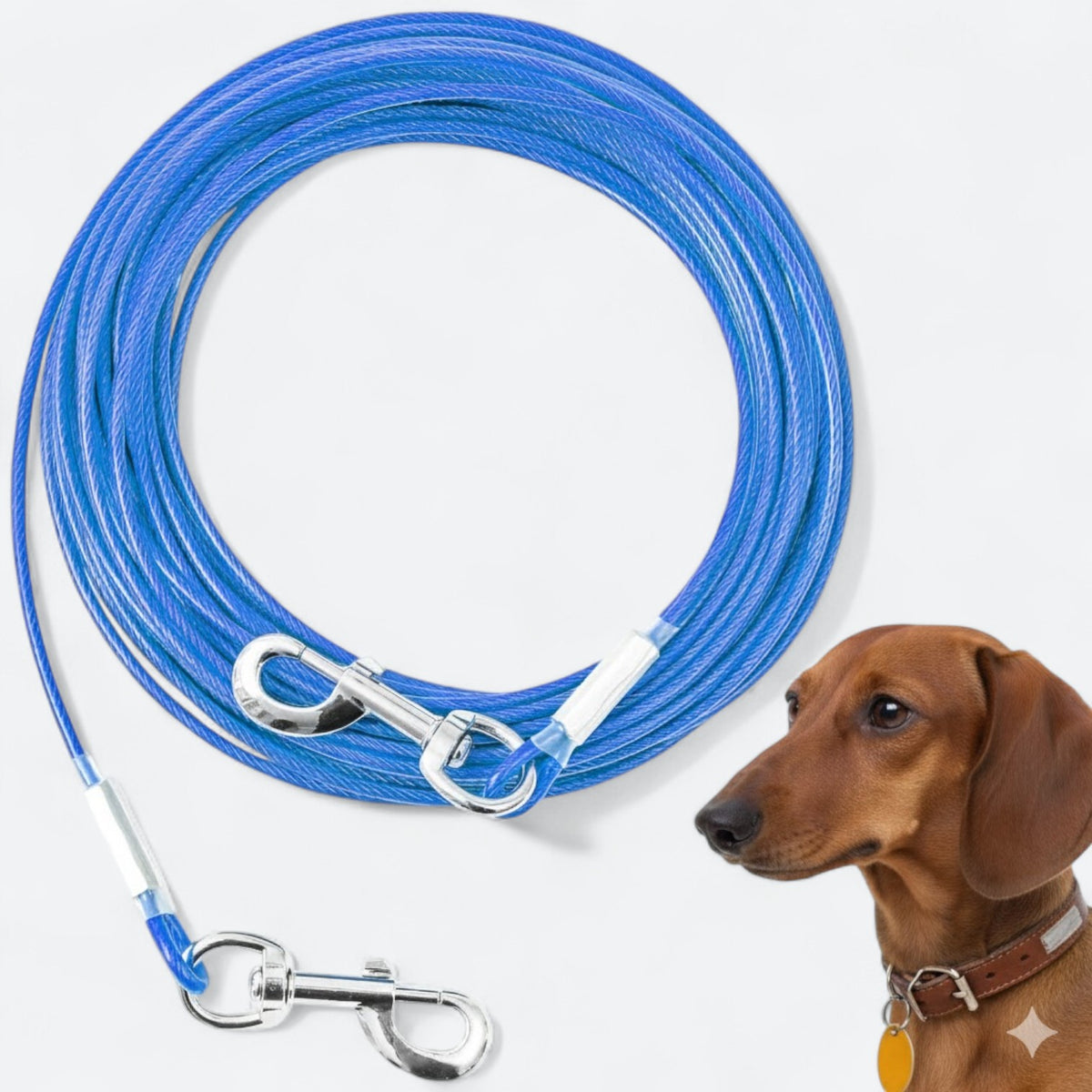 Wire Rope Dog Extended Steel Wire Rope Dog Leash