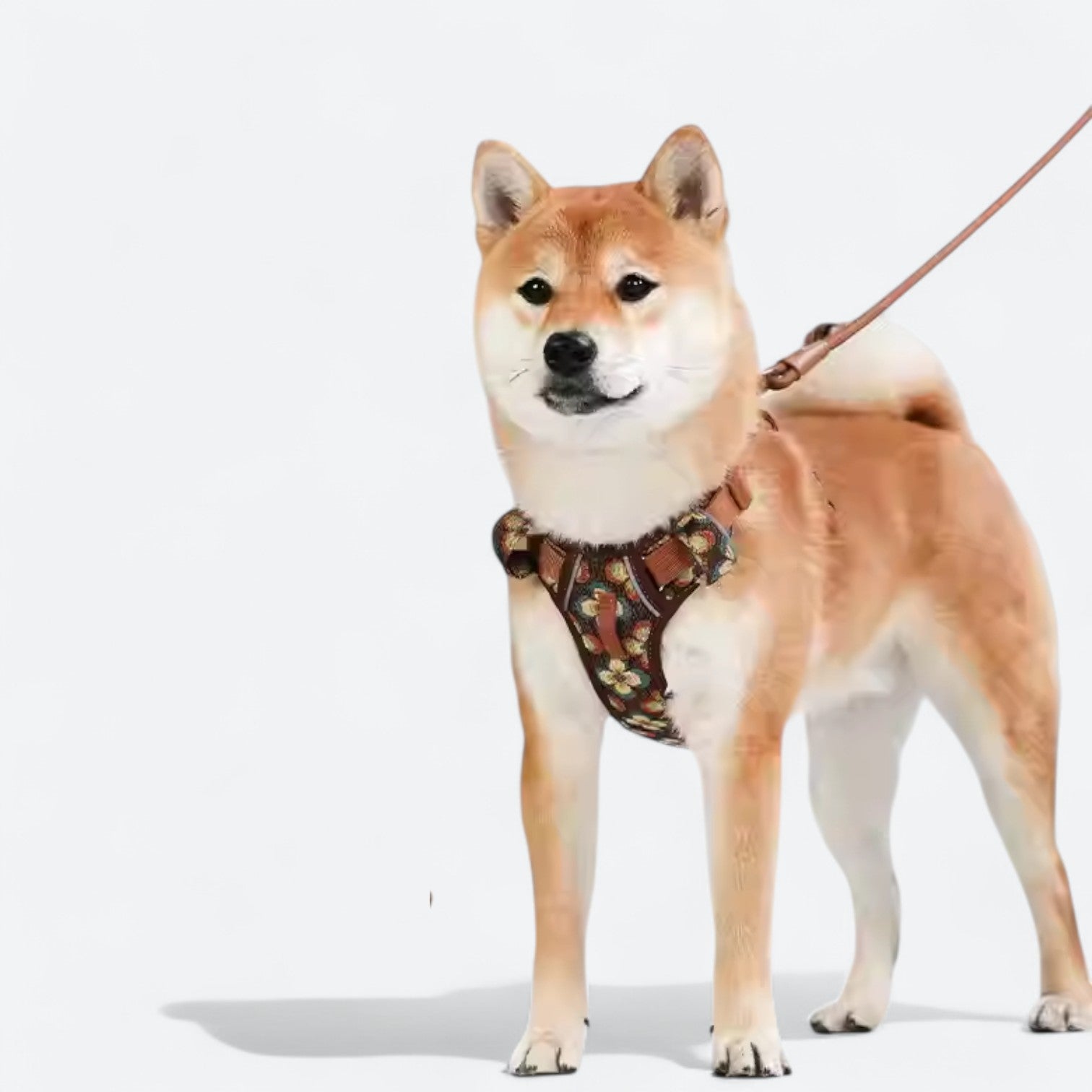 Floral-Padded-Dog-Harness-Leash-Set.jpg