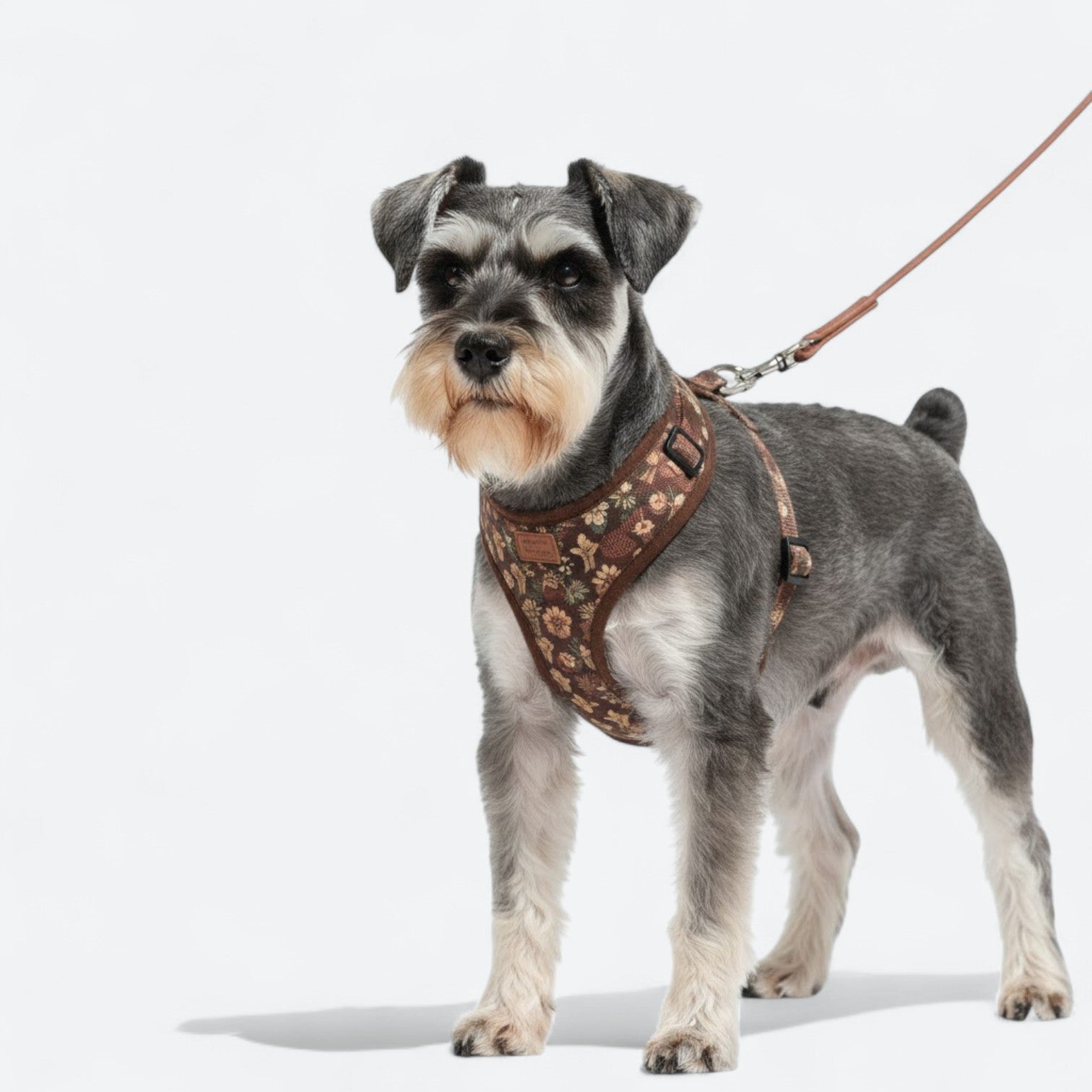 Floral-Padded-Dog-Harness-Leash-Set.jpg