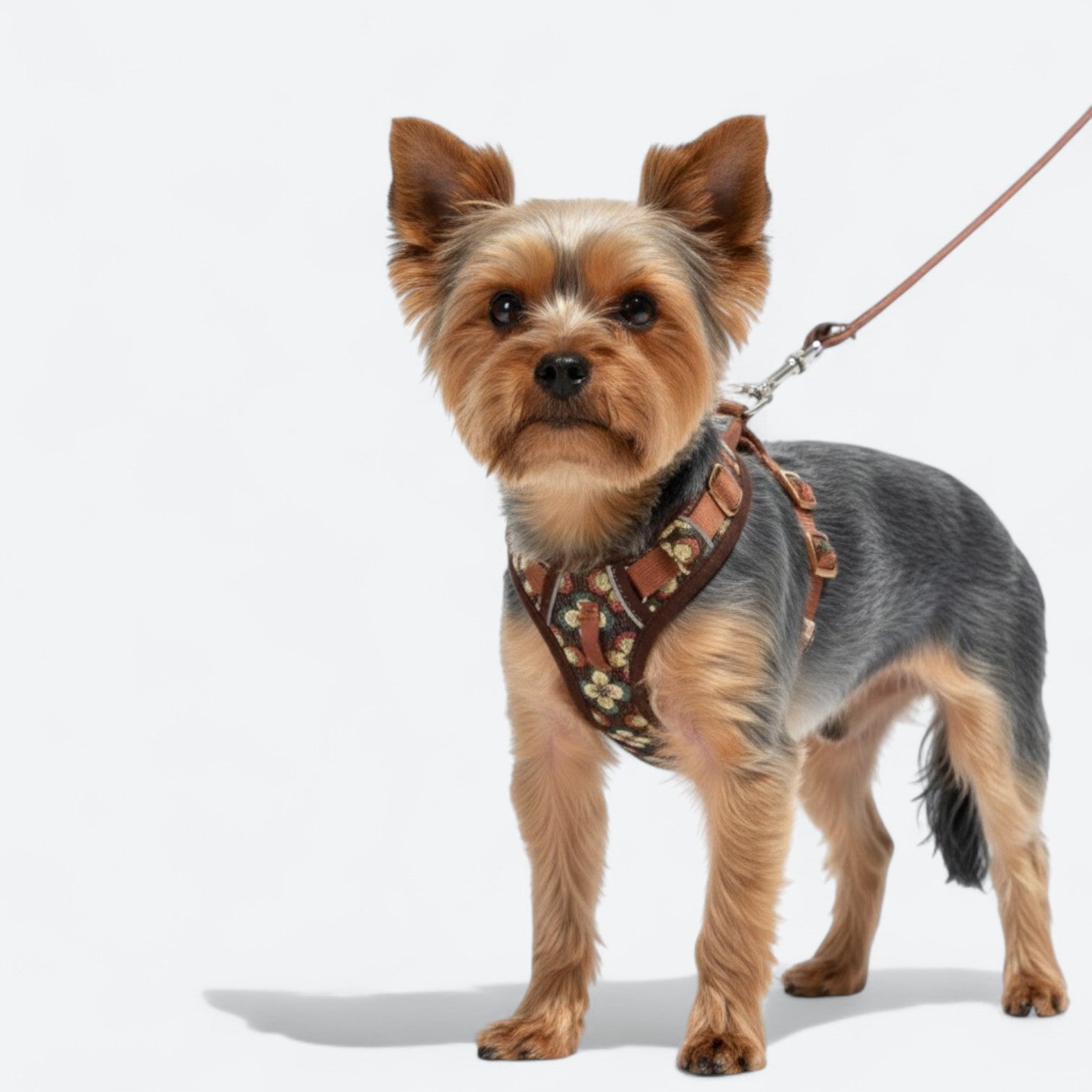 Floral-Padded-Dog-Harness-Leash-Set.jpg
