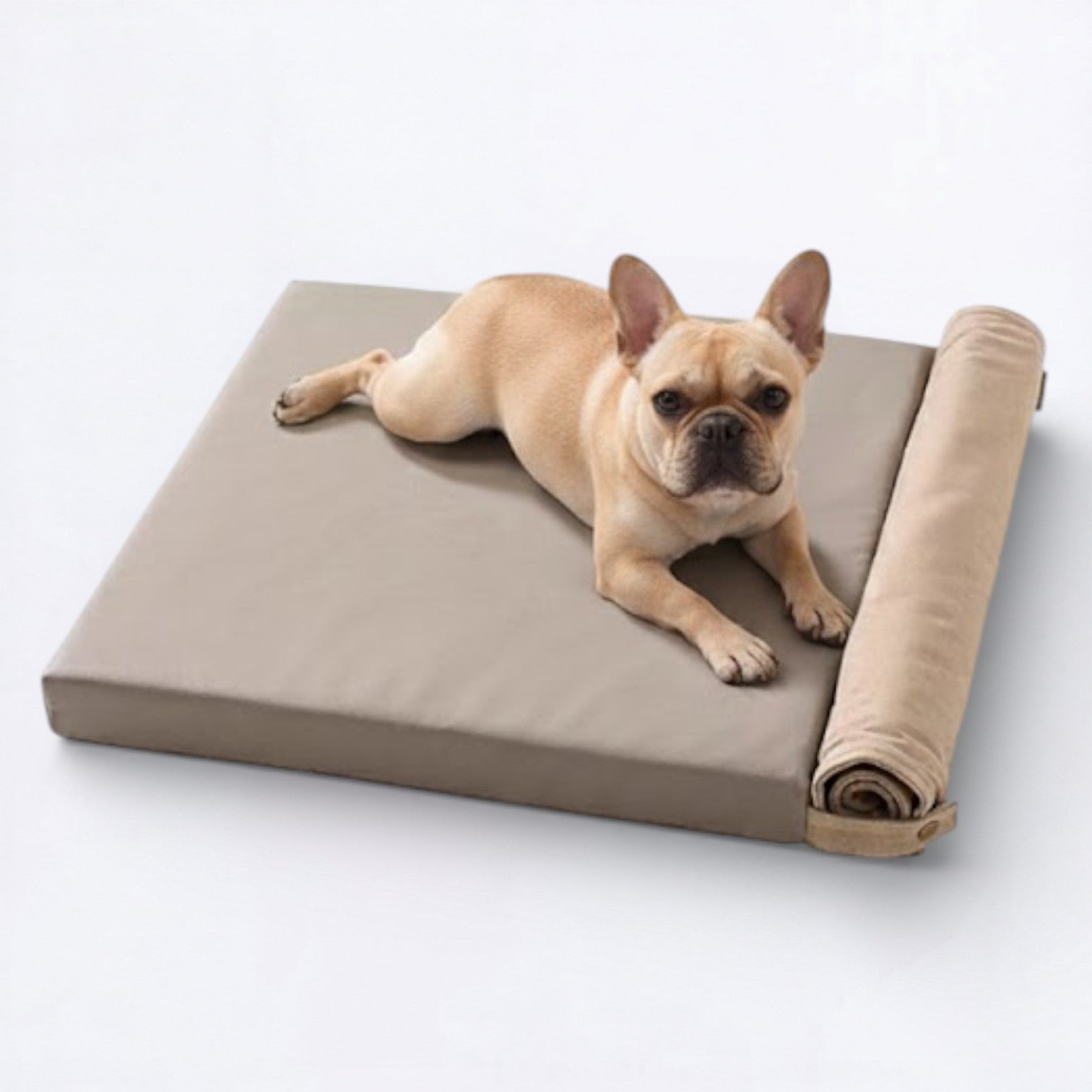 Foldable-Canvas-Dog-Tent-Bed.jpg