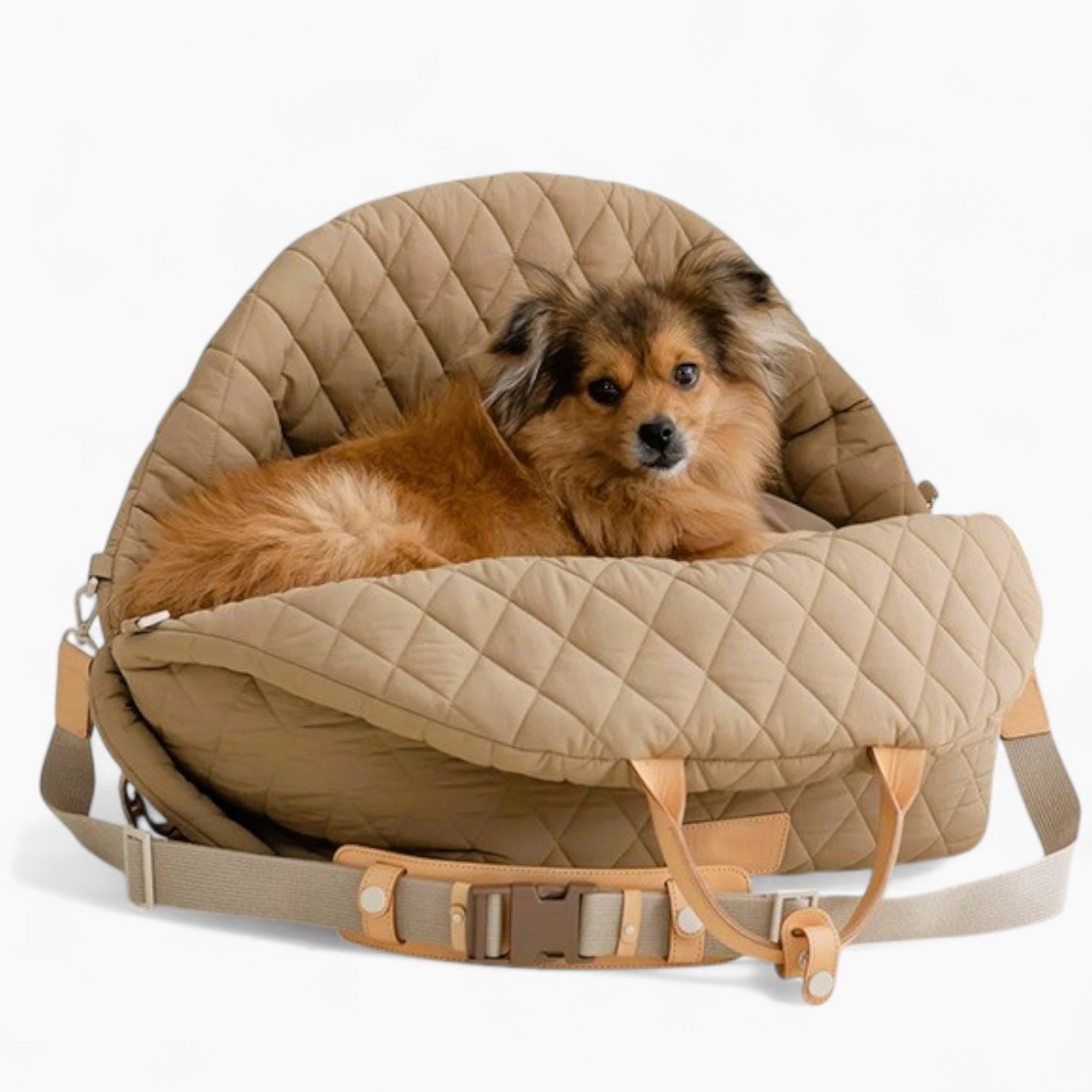 Foldable-Dog-Carrier-Bag.jpg