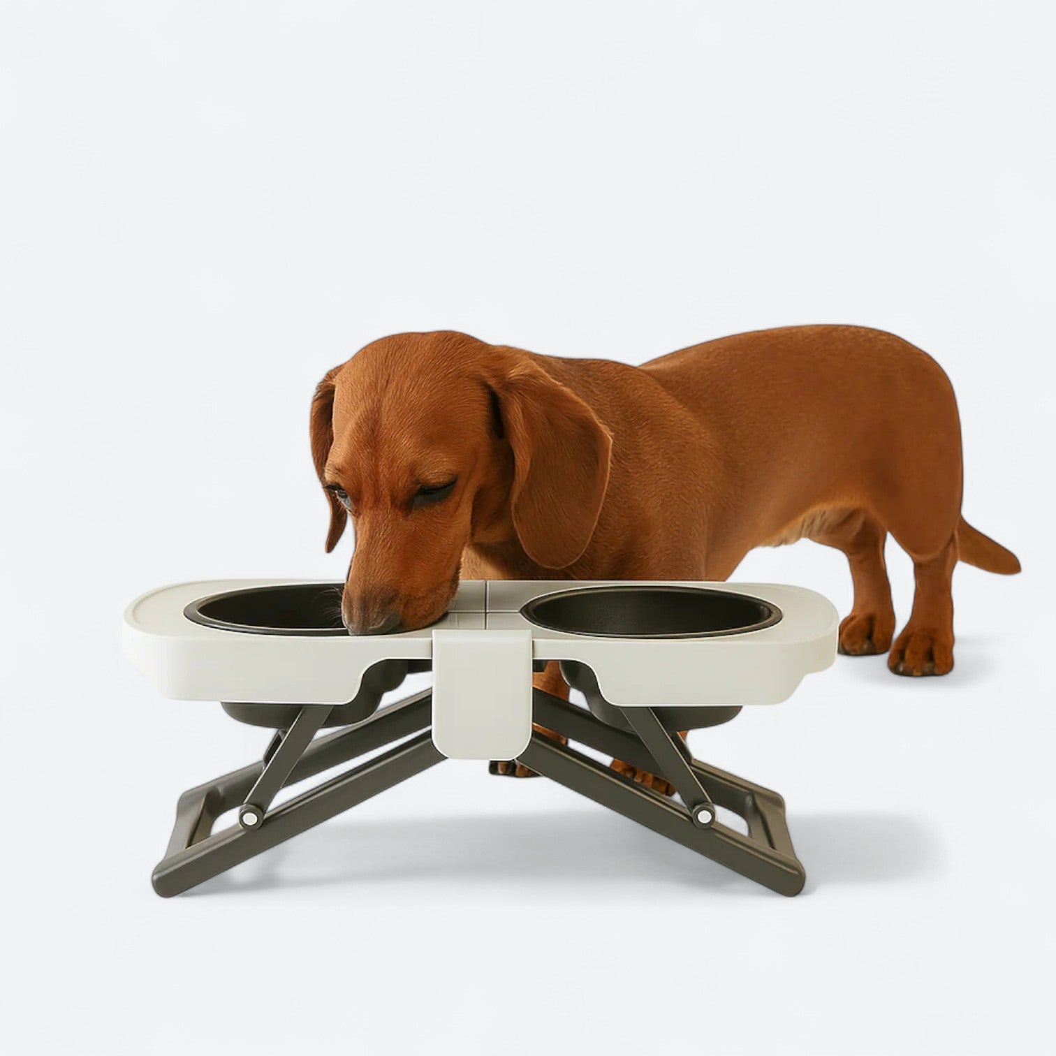 Foldable-Double-Bowl-Dog-Feeder.jpg