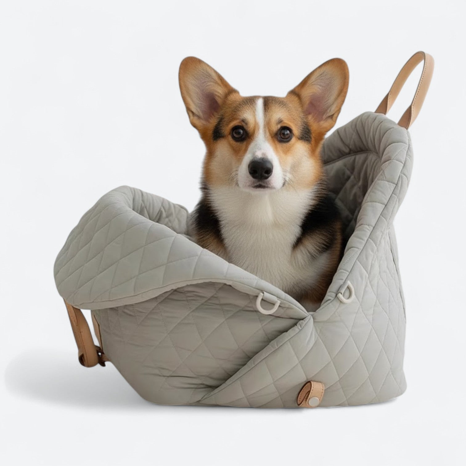 Foldable-Travel-Dog-Carrier-Bed.jpg