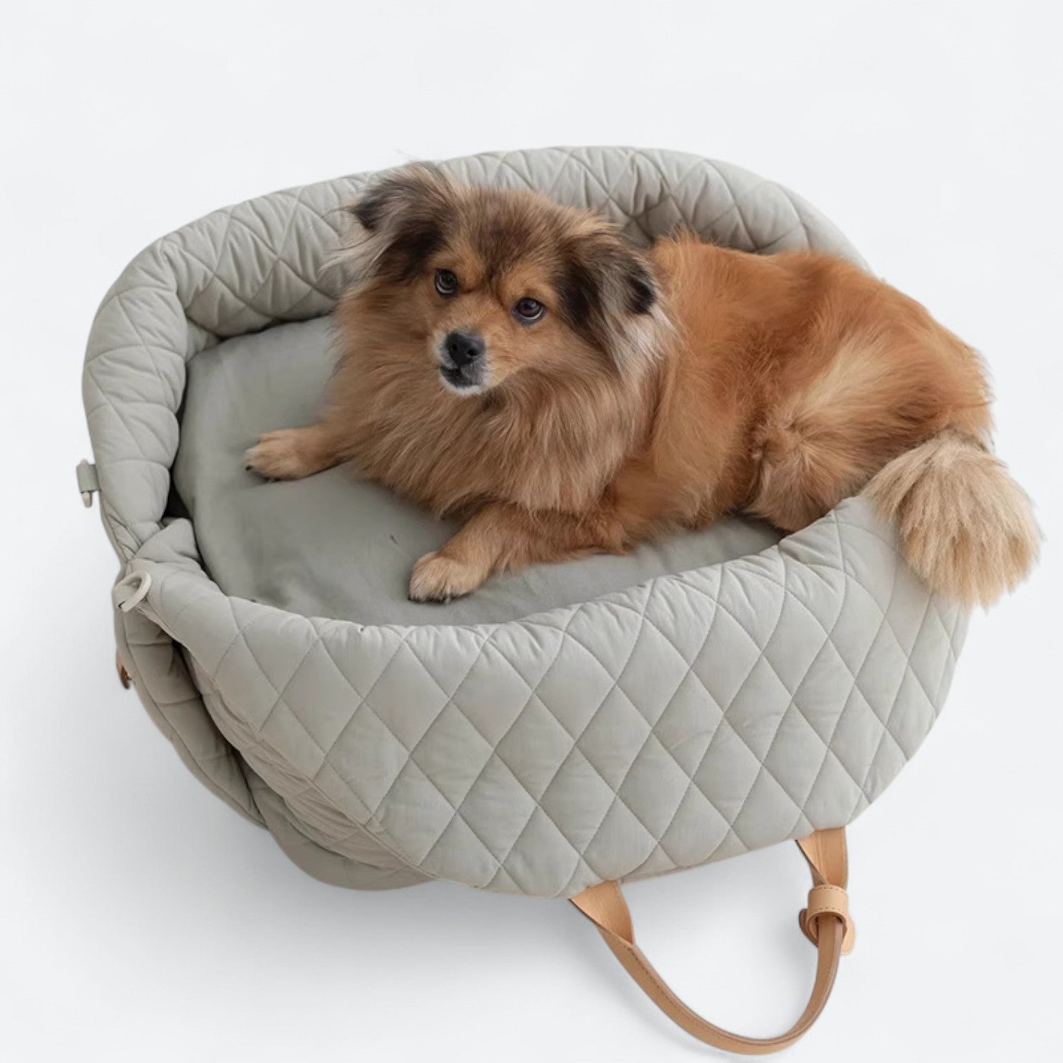 Foldable-Travel-Dog-Carrier-Bed.jpg