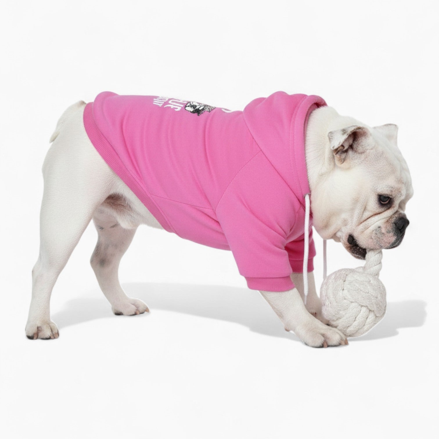 Zane - French Bulldog Dog Hoodie