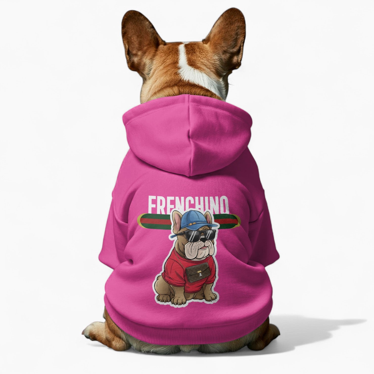 Nico - French Bulldog Dog Hoodie
