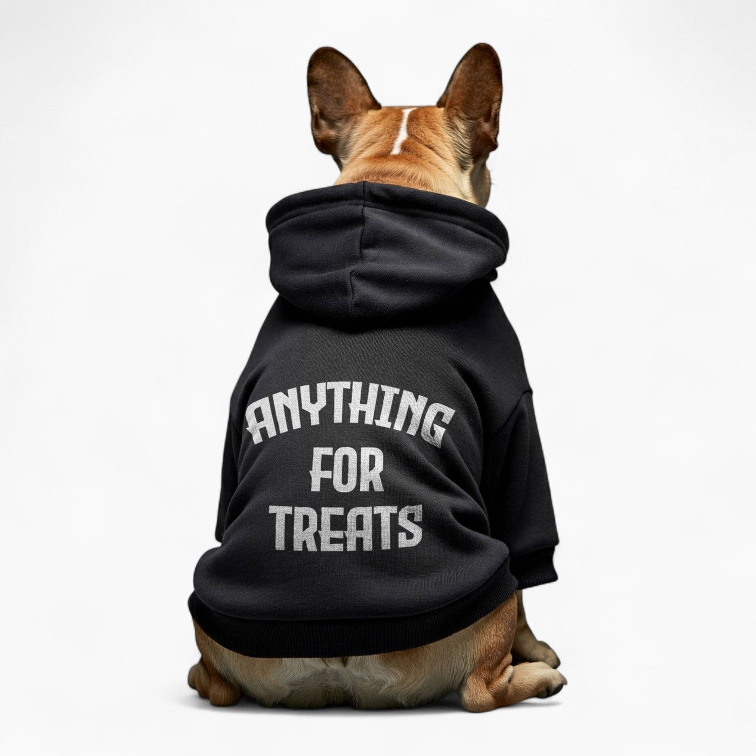 Dolly  - French Bulldog Dog Hoodie