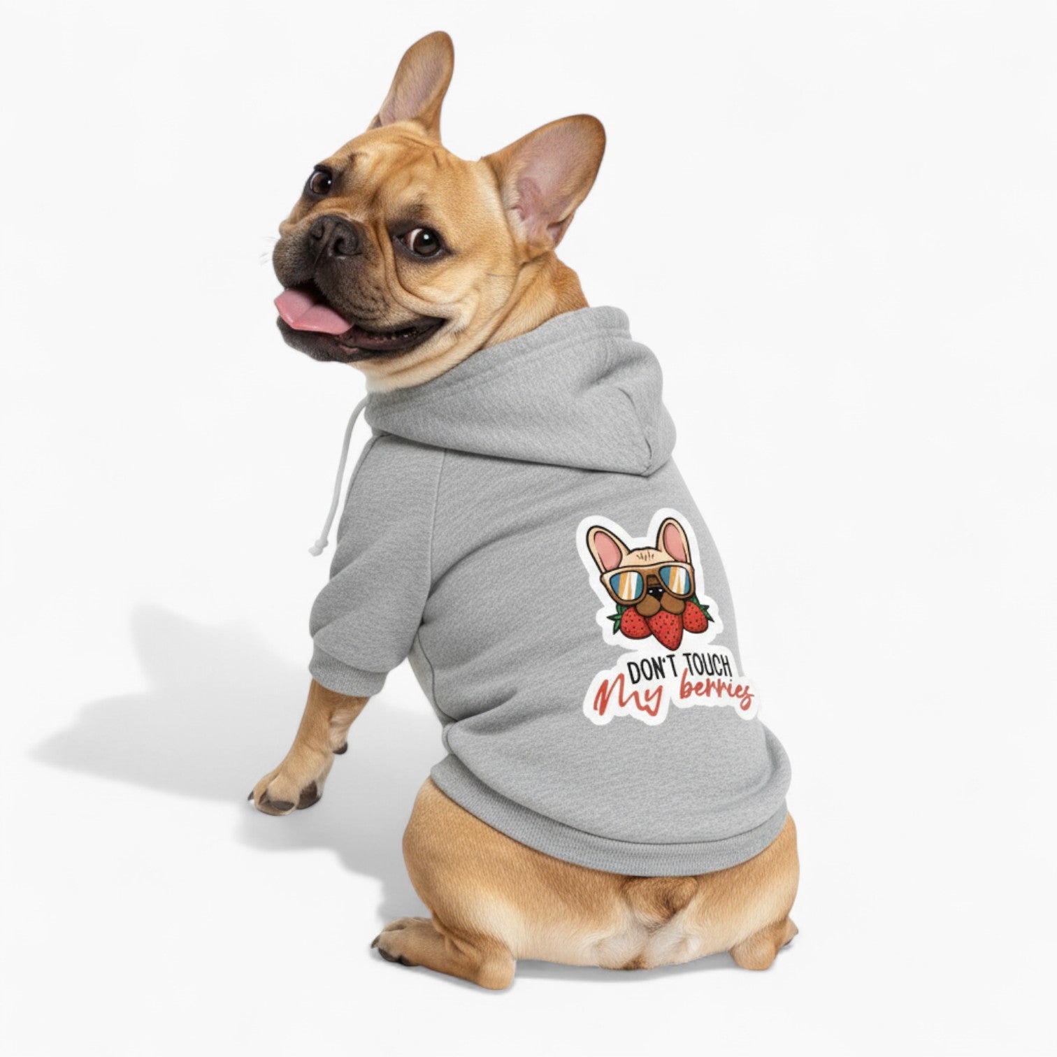 Inka - French Bulldog Dog Hoodie