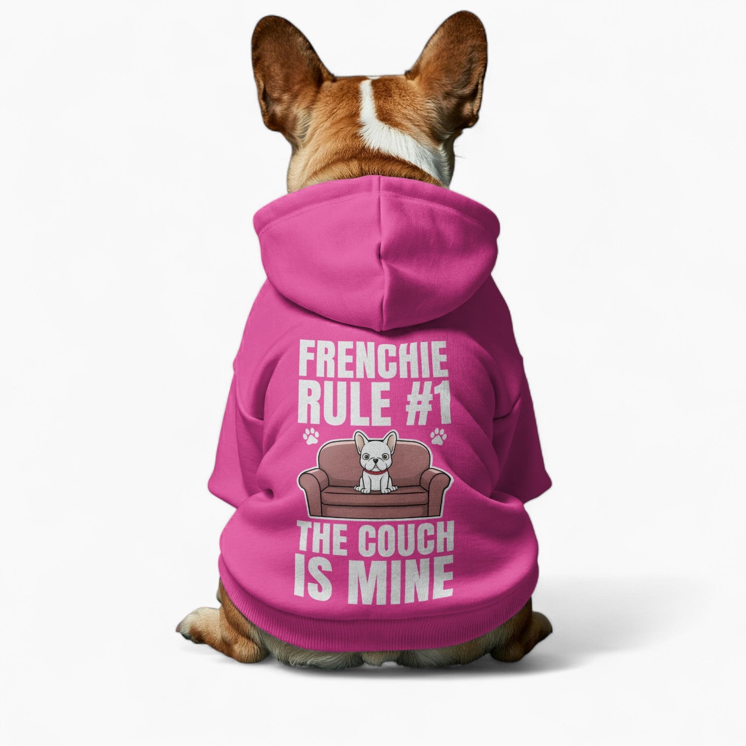 Theo - French Bulldog Dog Hoodie