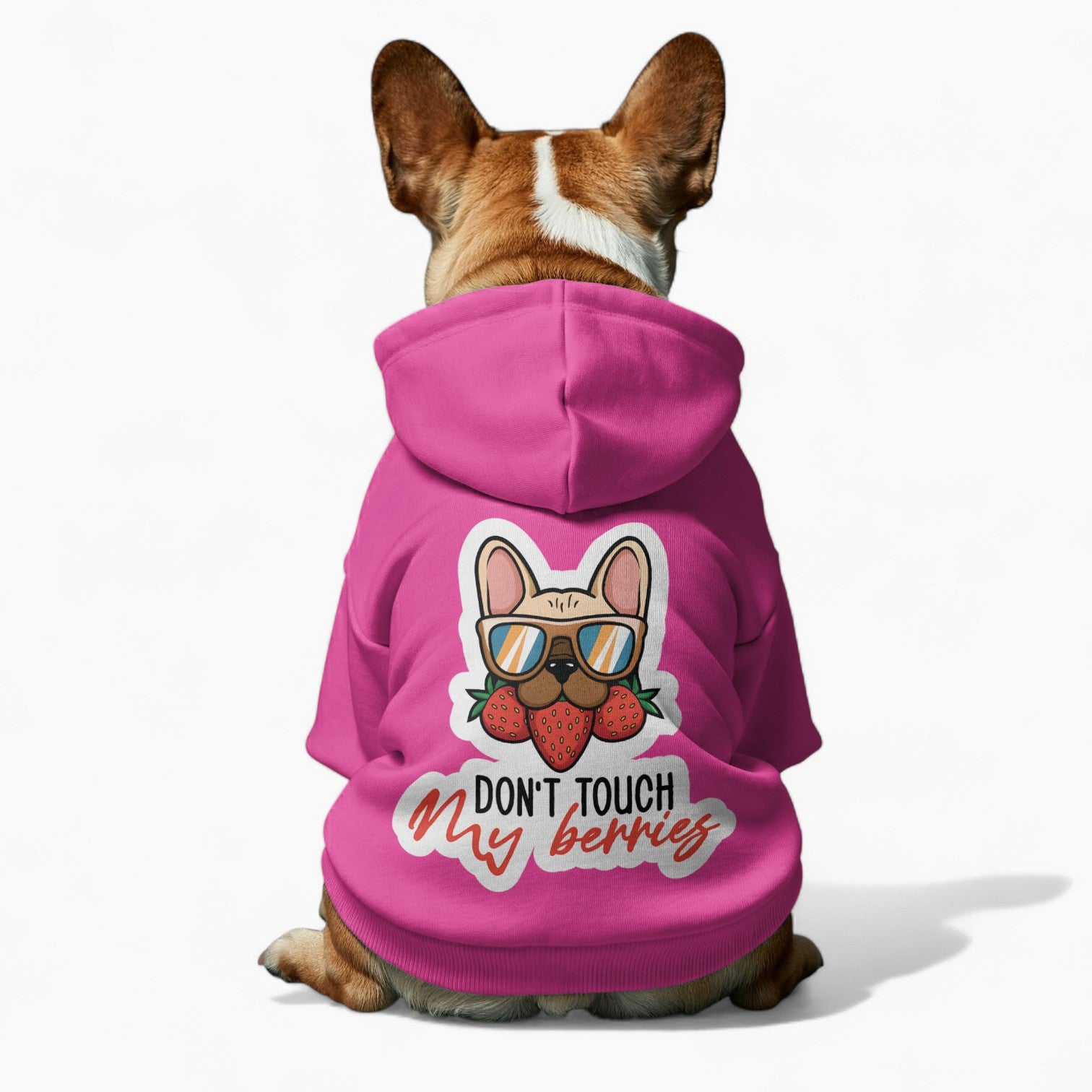 Inka - French Bulldog Dog Hoodie