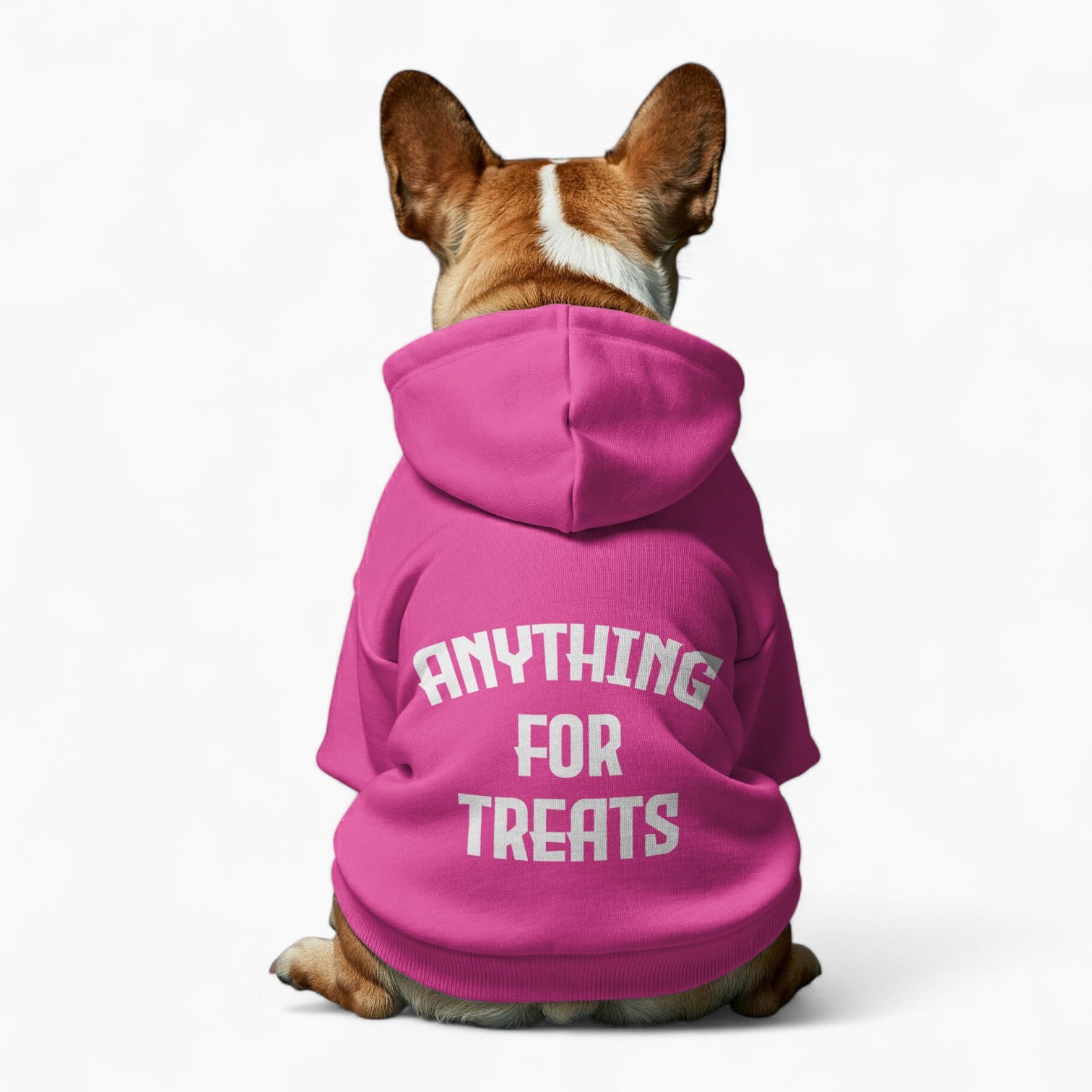 Dolly  - French Bulldog Dog Hoodie
