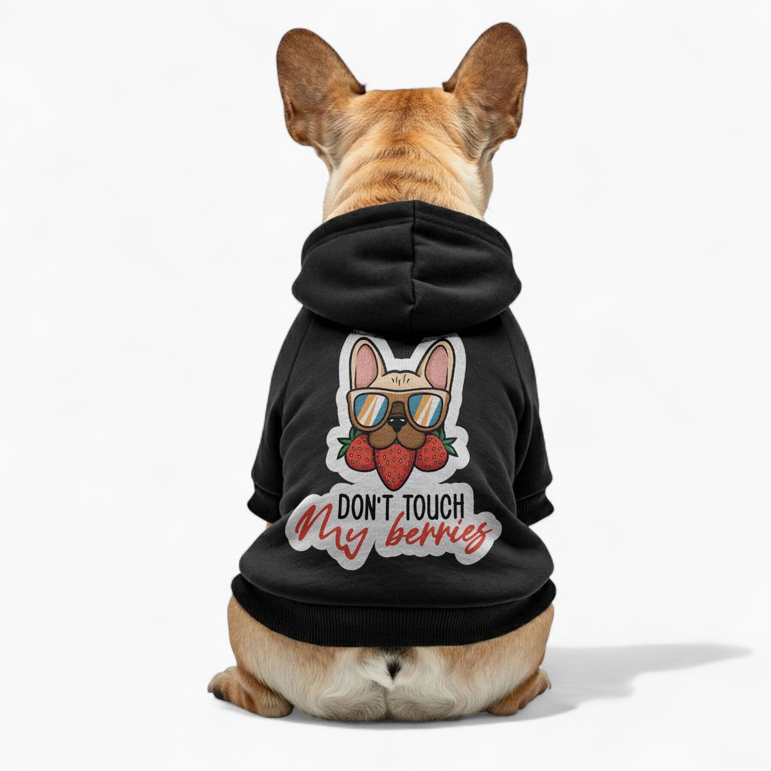 Inka - French Bulldog Dog Hoodie