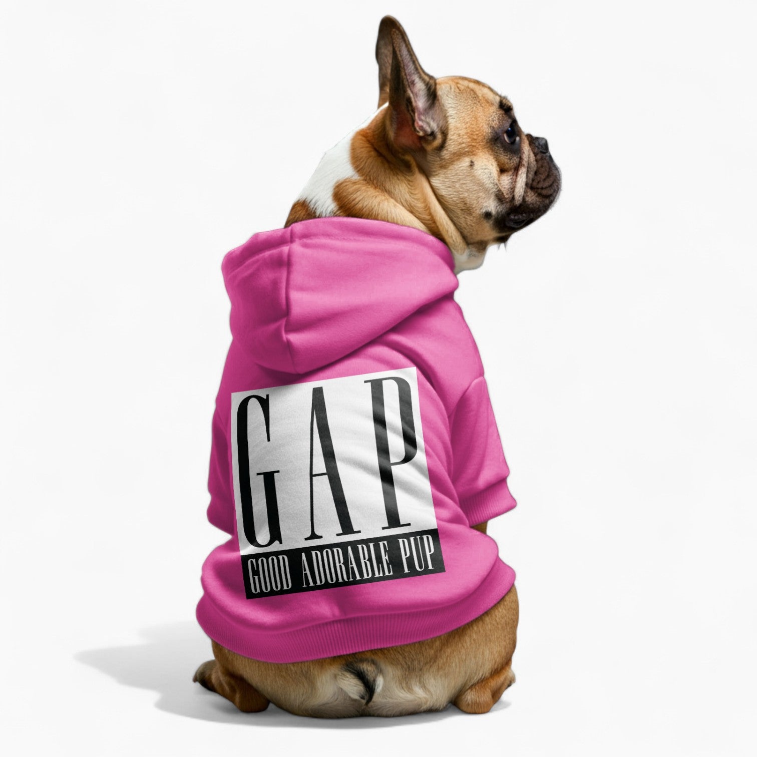Elsa- French Bulldog Dog Hoodie