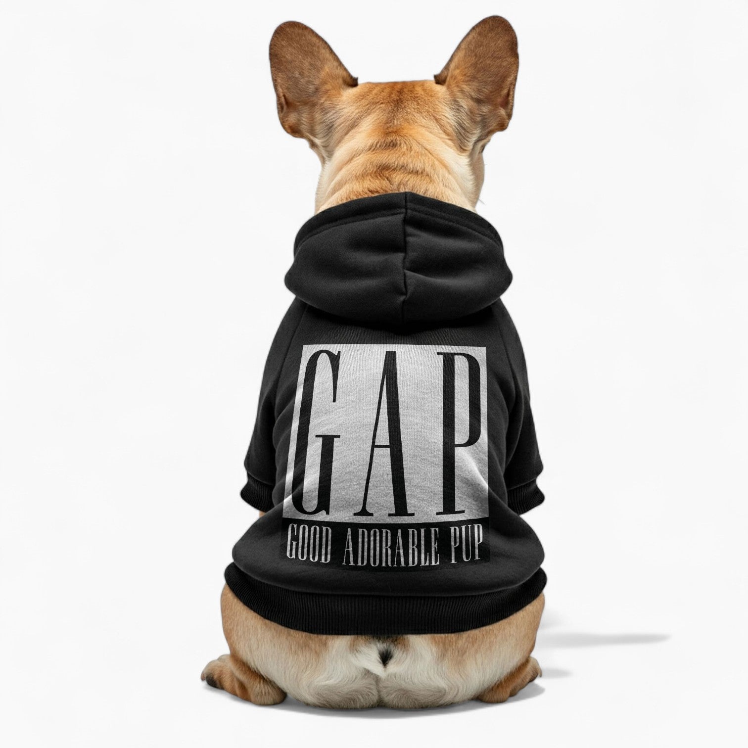Elsa- French Bulldog Dog Hoodie